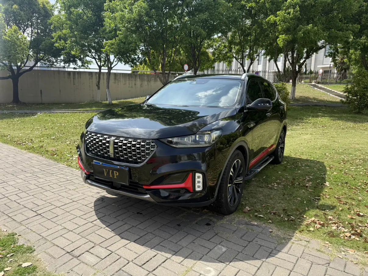 Wey Wei brand VV6