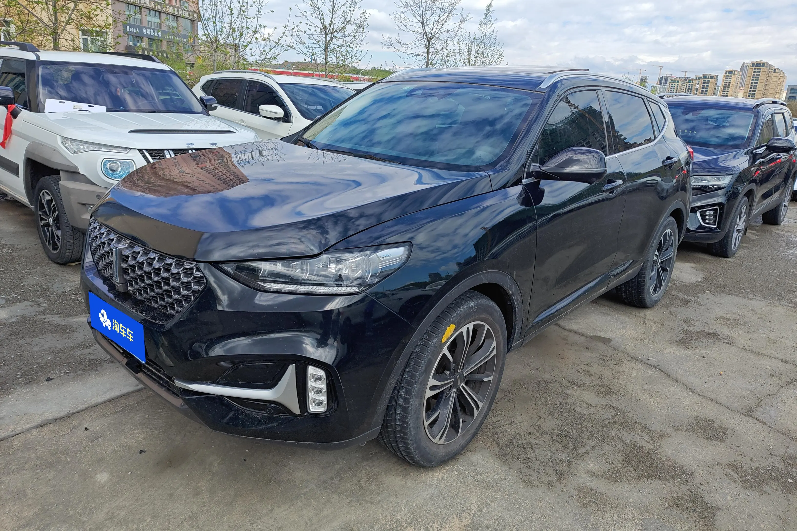 Wey Wei brand VV6