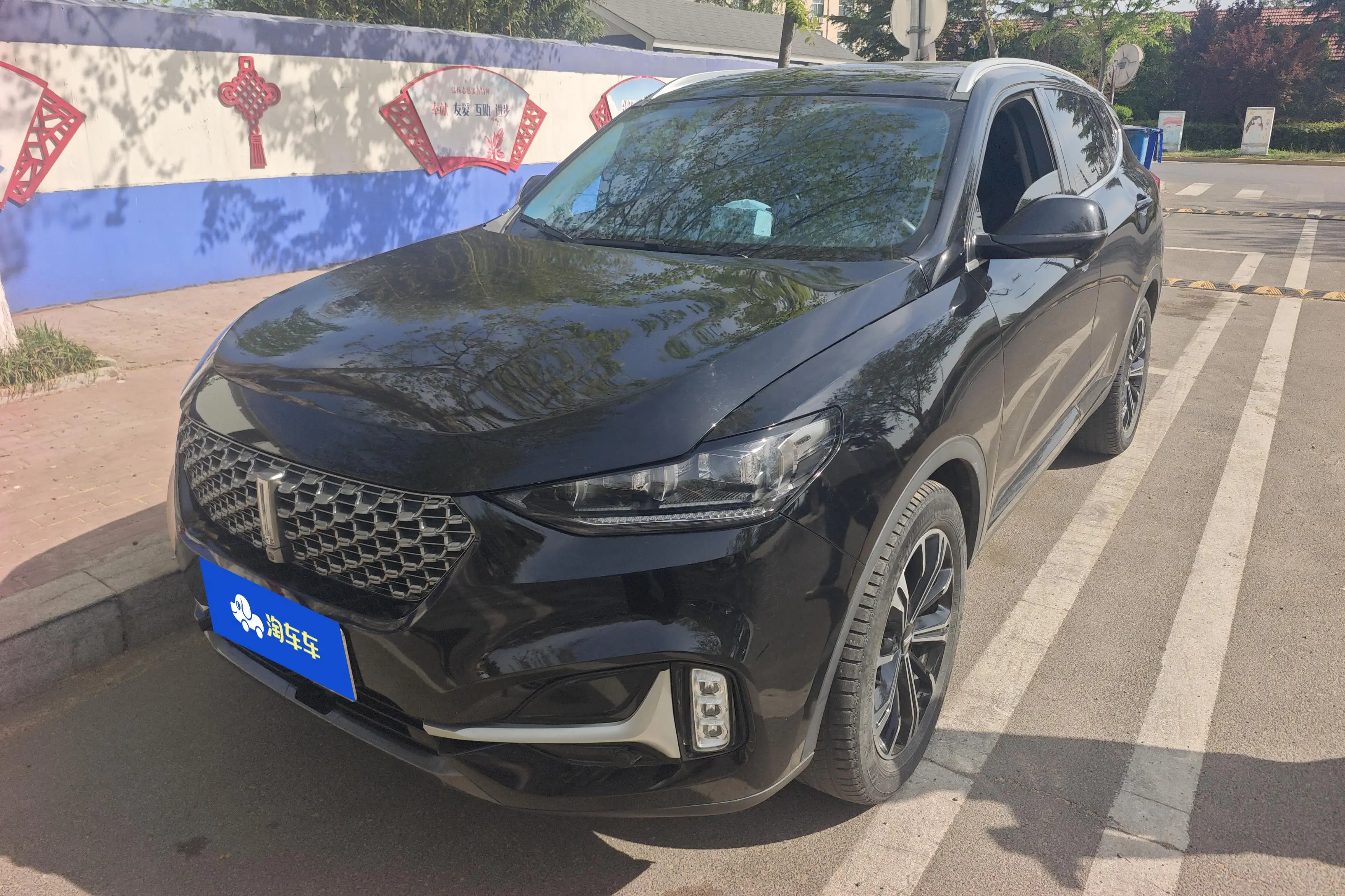 Wey Wei brand VV6
