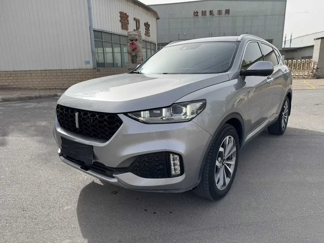 Wey Wei brand VV6