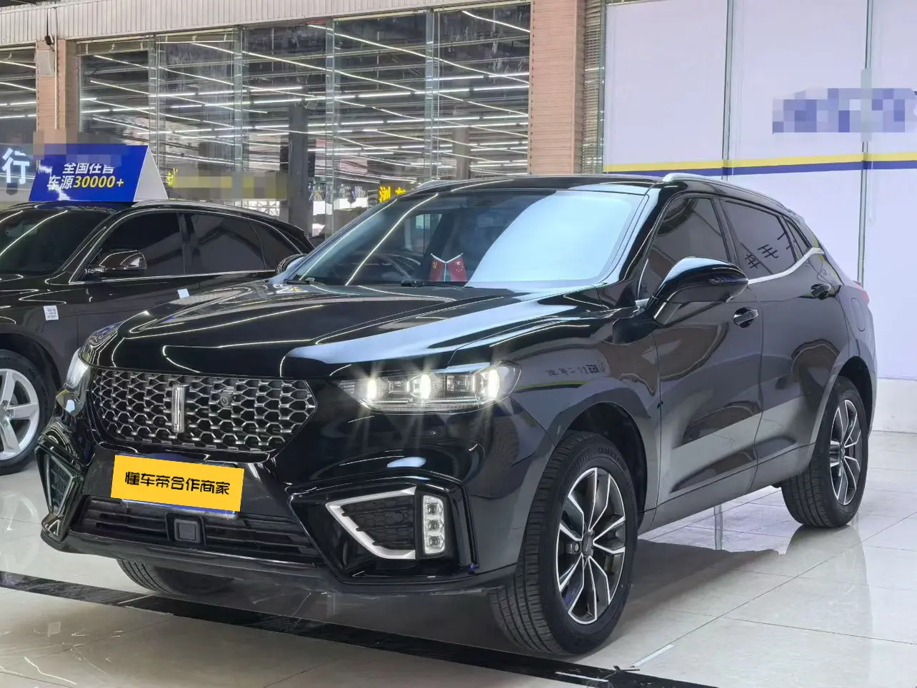 Wey Wei brand VV5