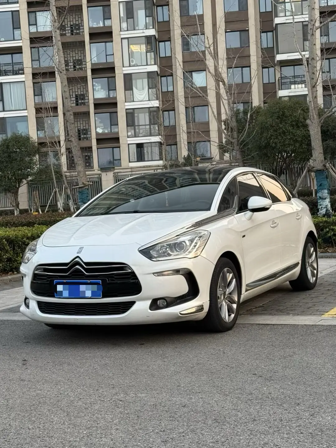 DS 5