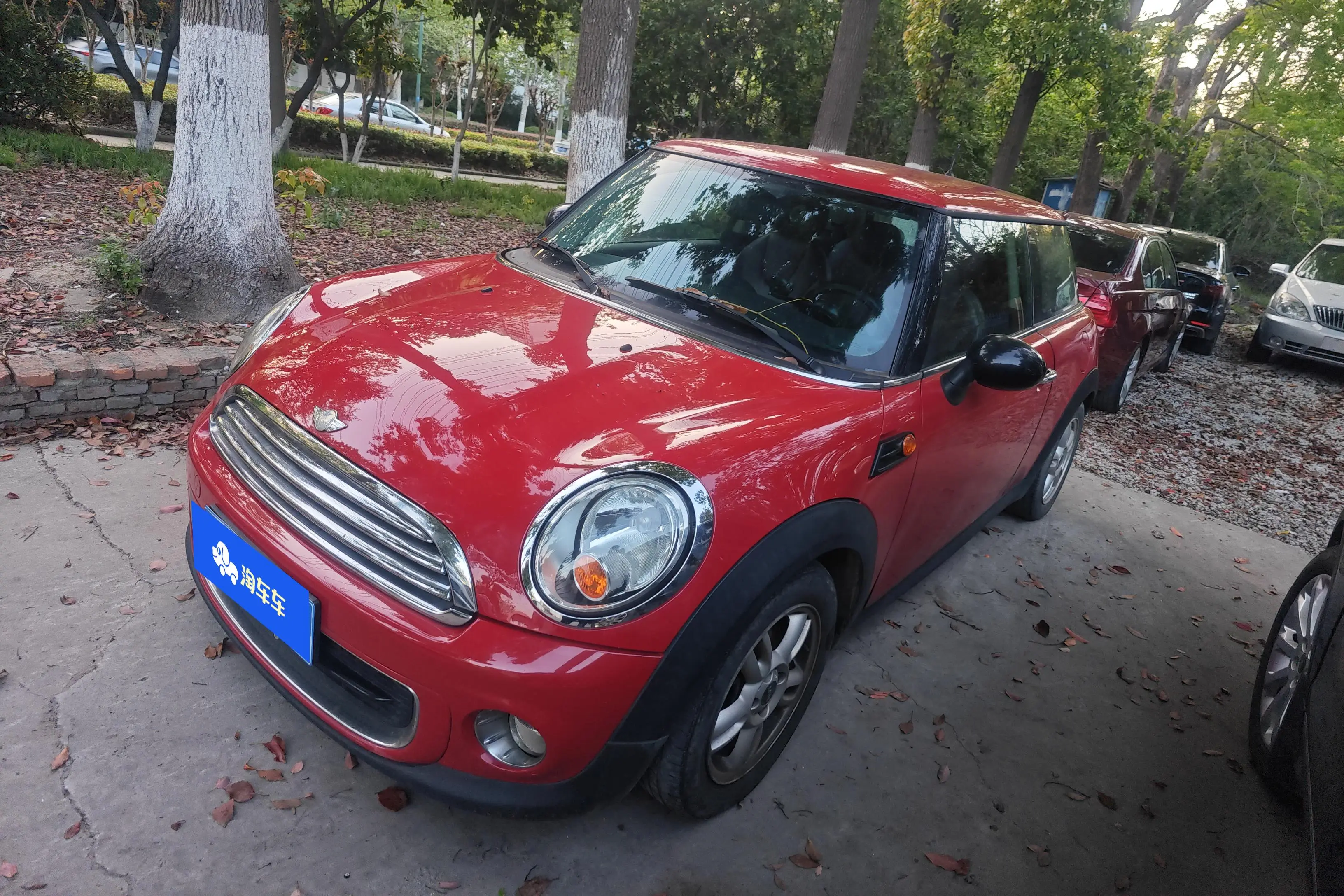 MINI MINI