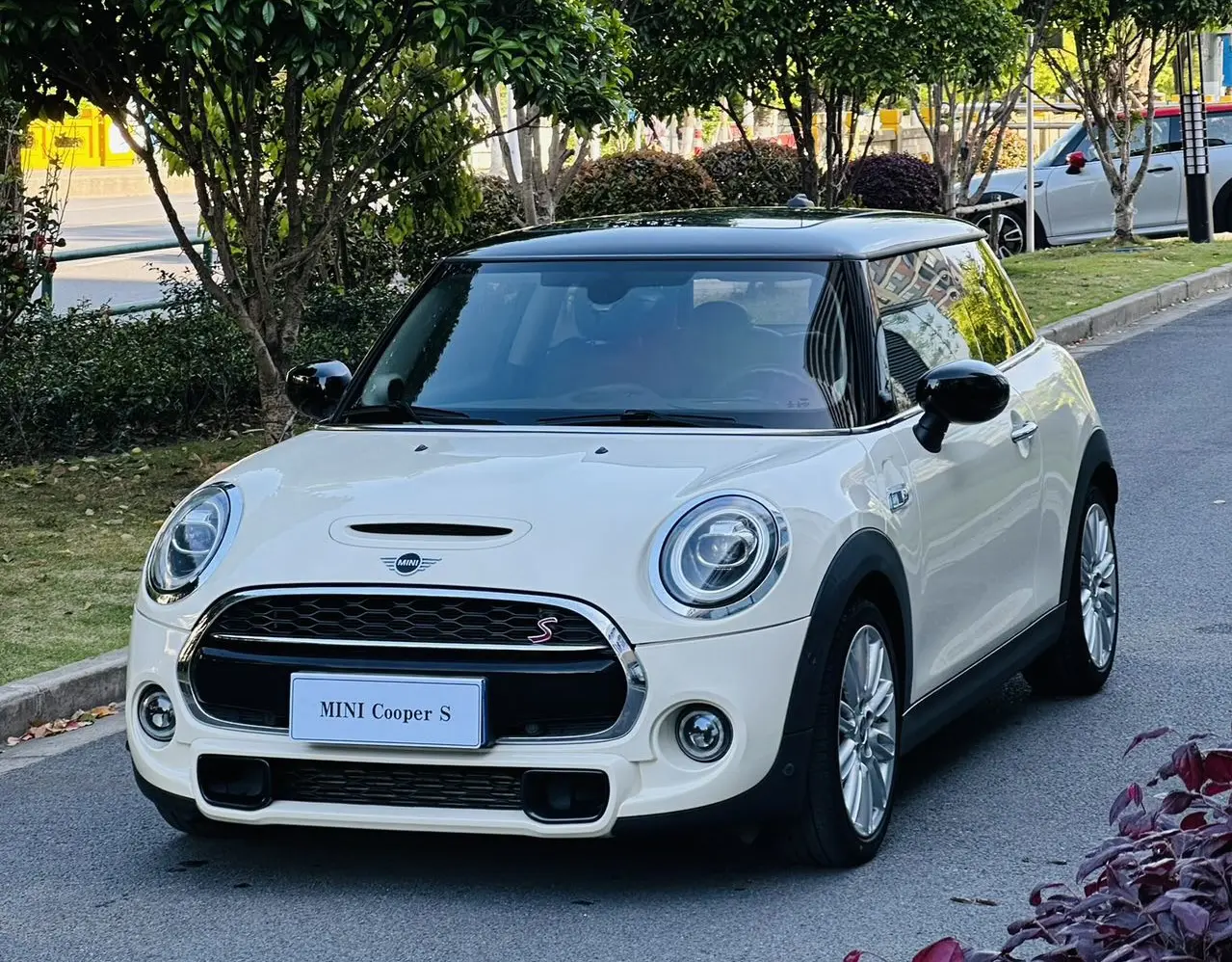 MINI MINI