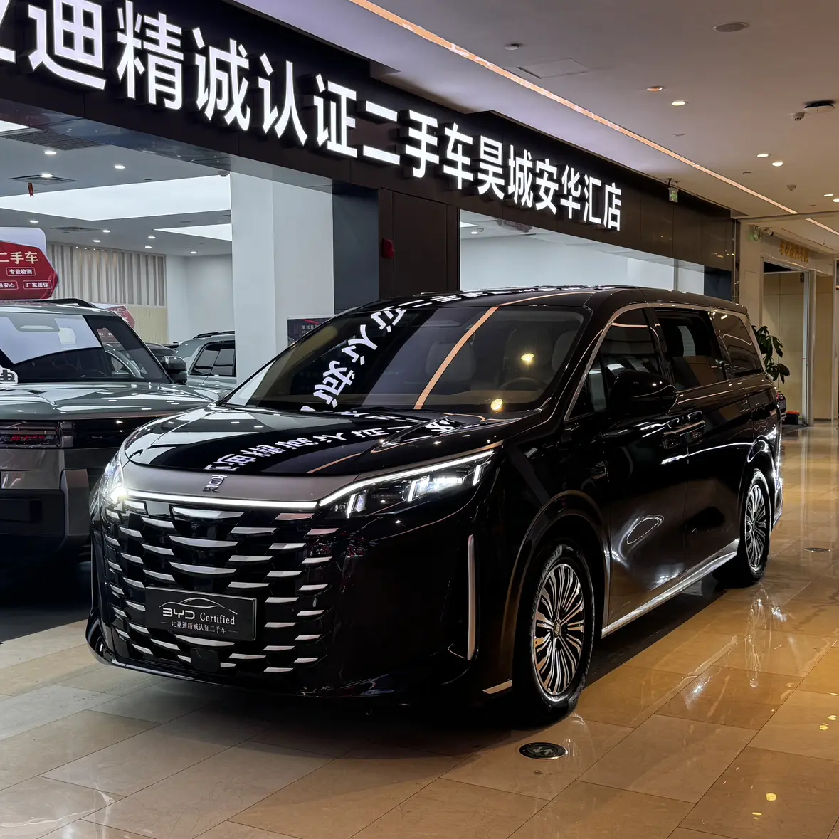 BYD Summer