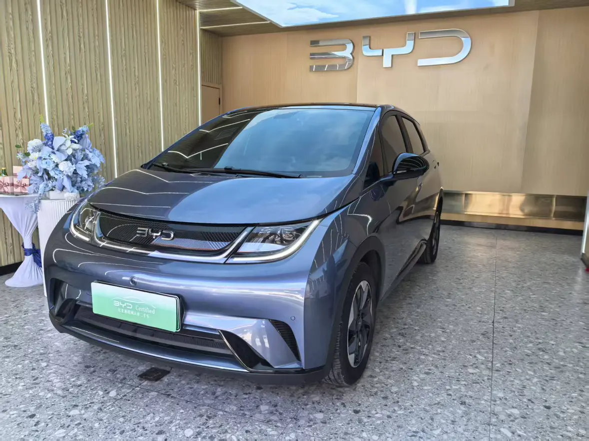 BYD Dolphin