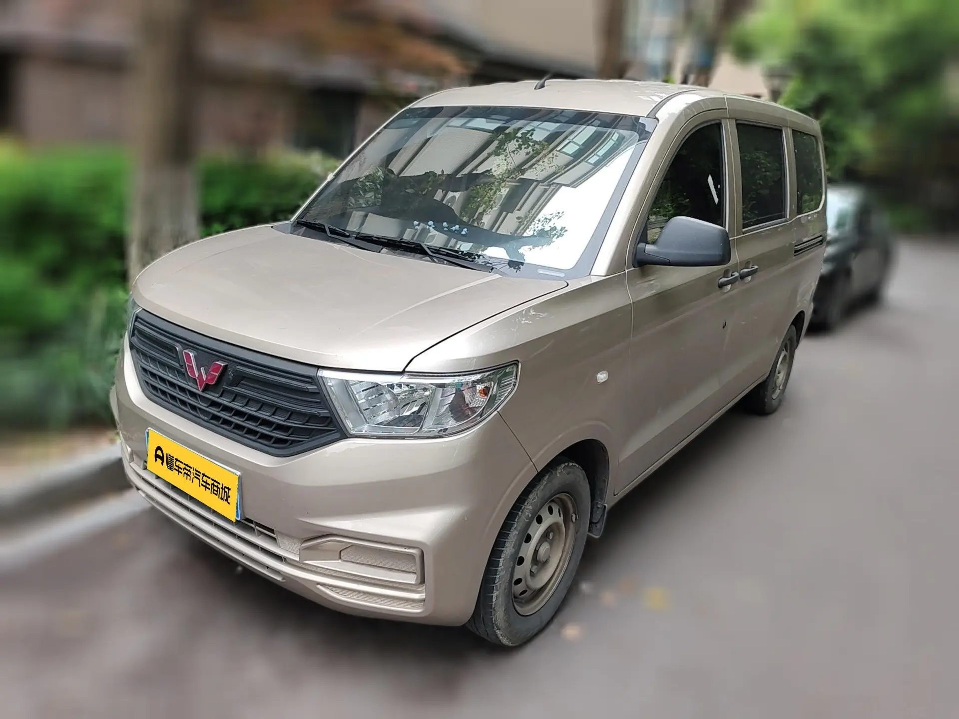 Wuling Hongguang V