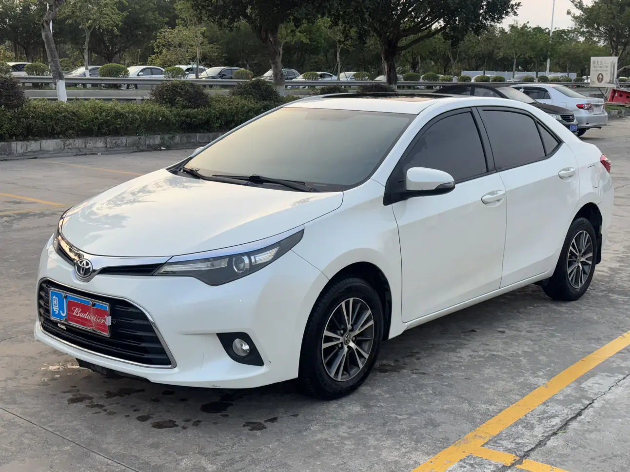 Toyota Levin