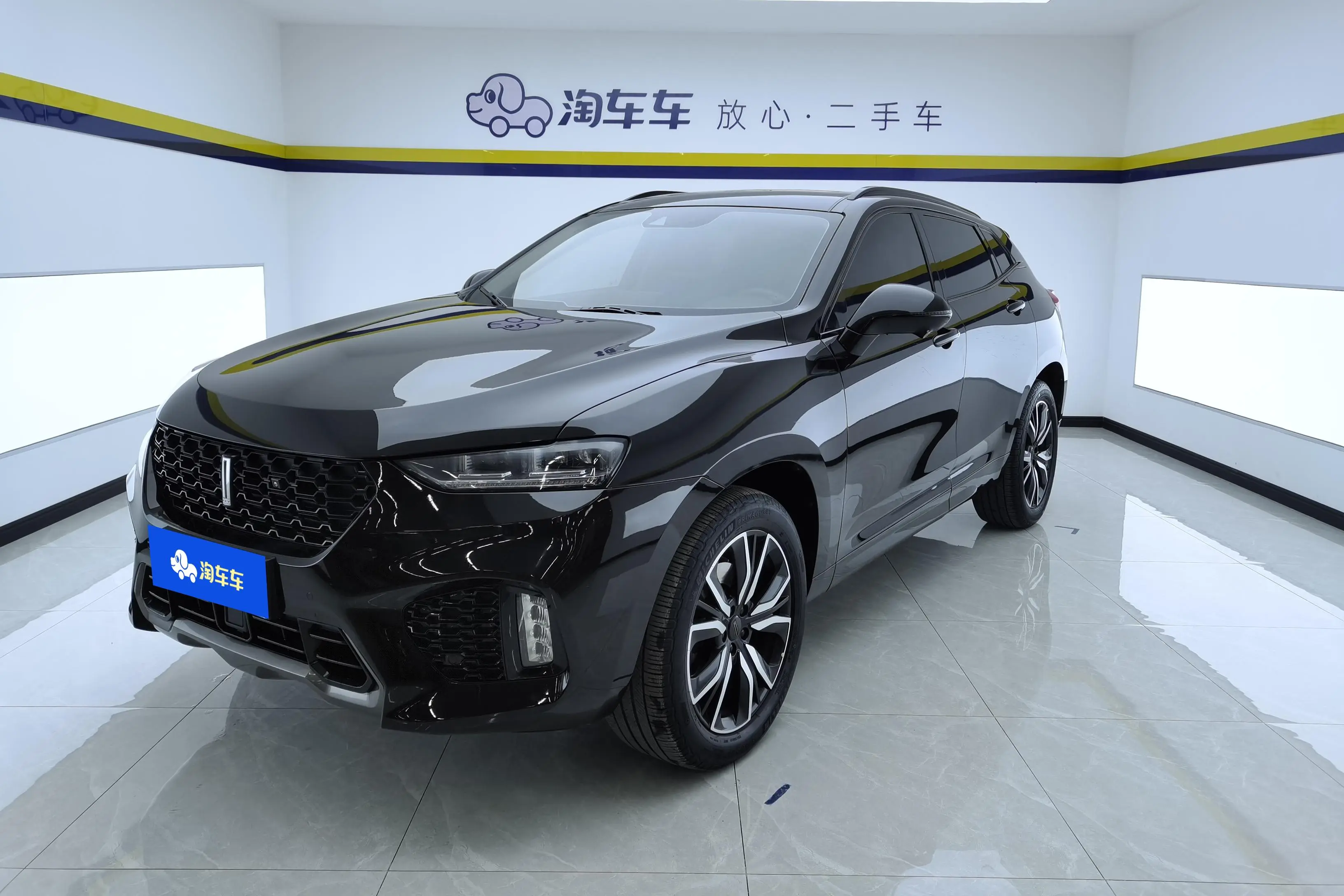 Wey Wei brand VV7
