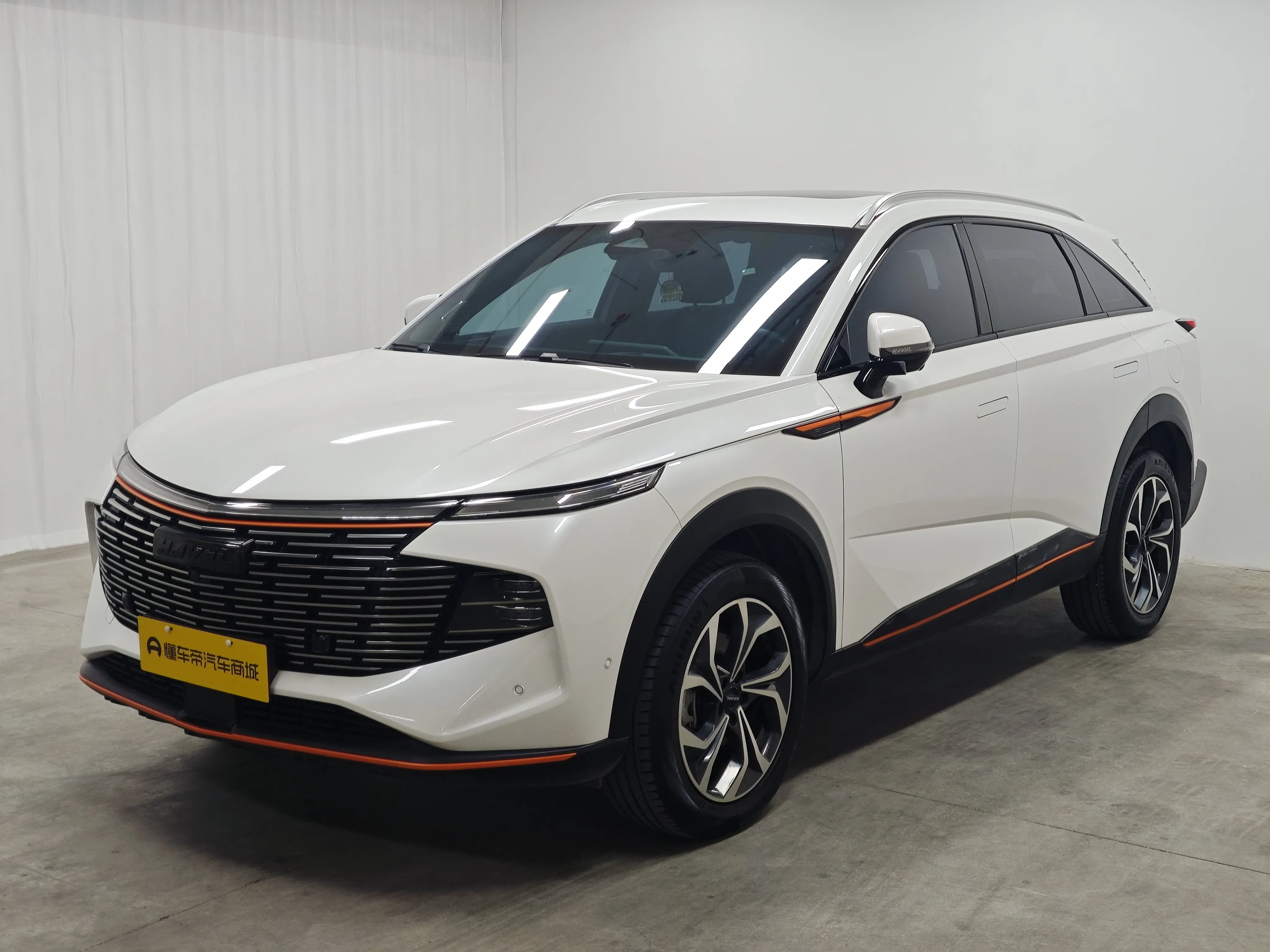 Haval Beast