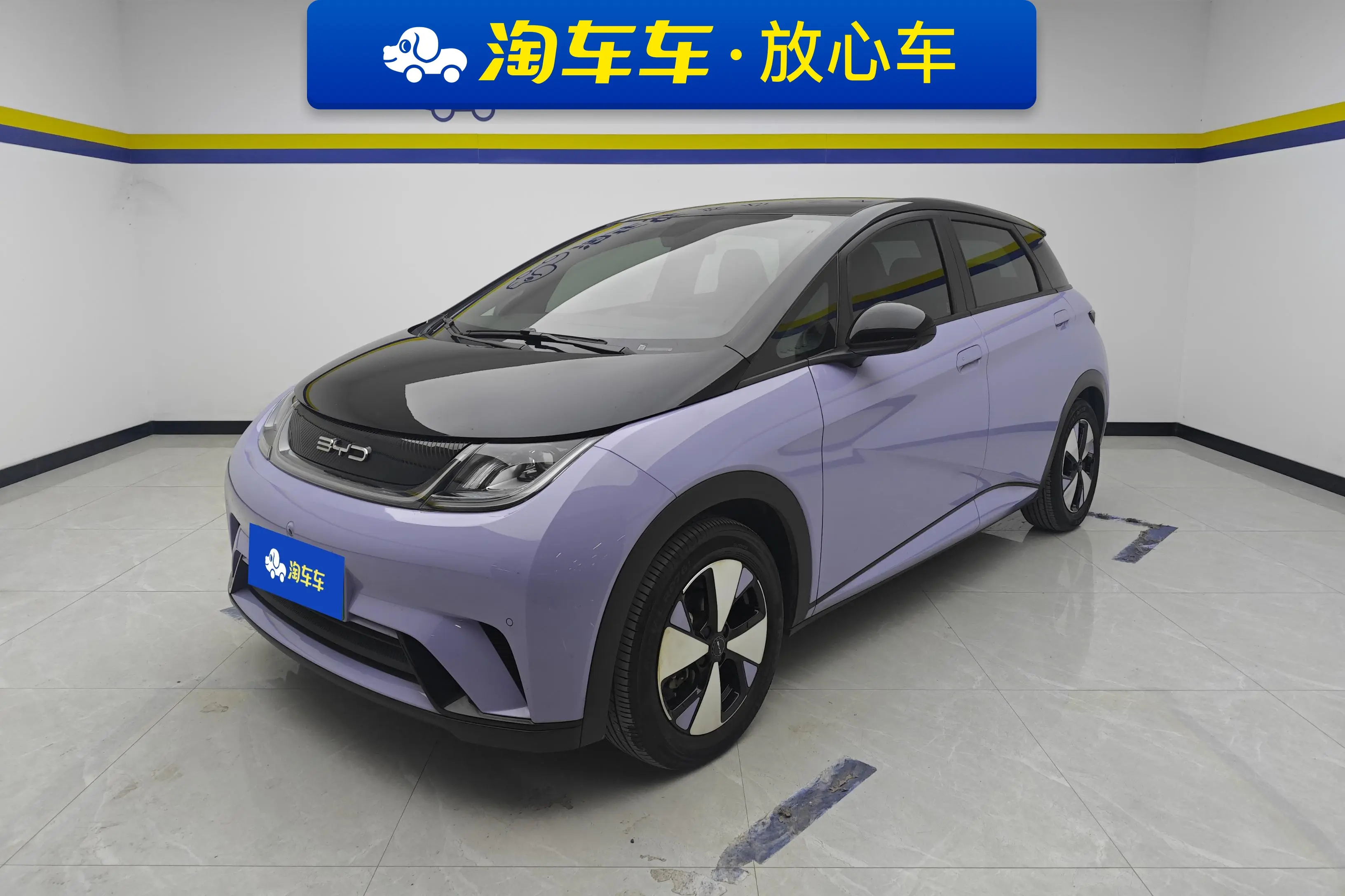 BYD Dolphin