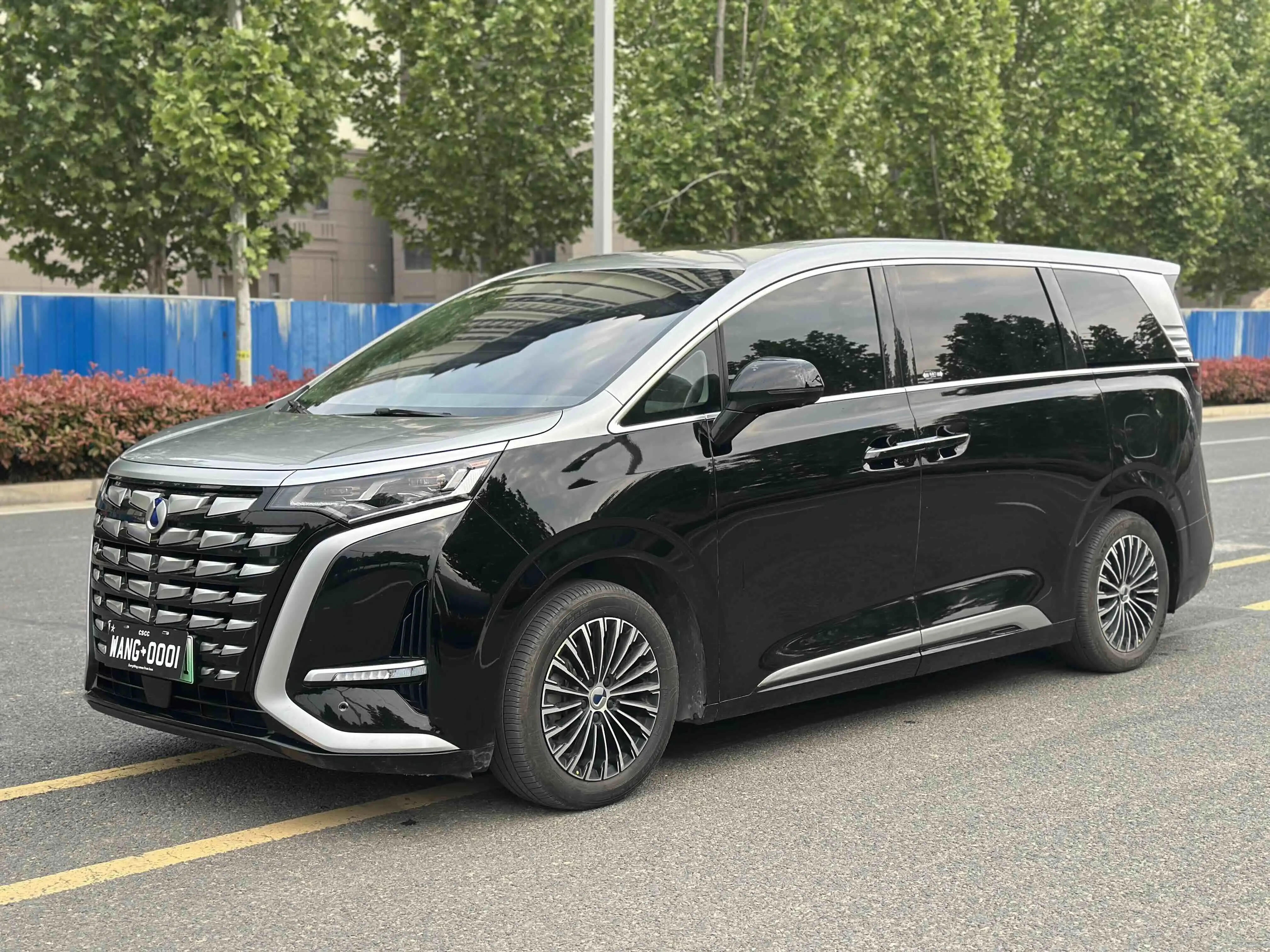 Denza D9 DM