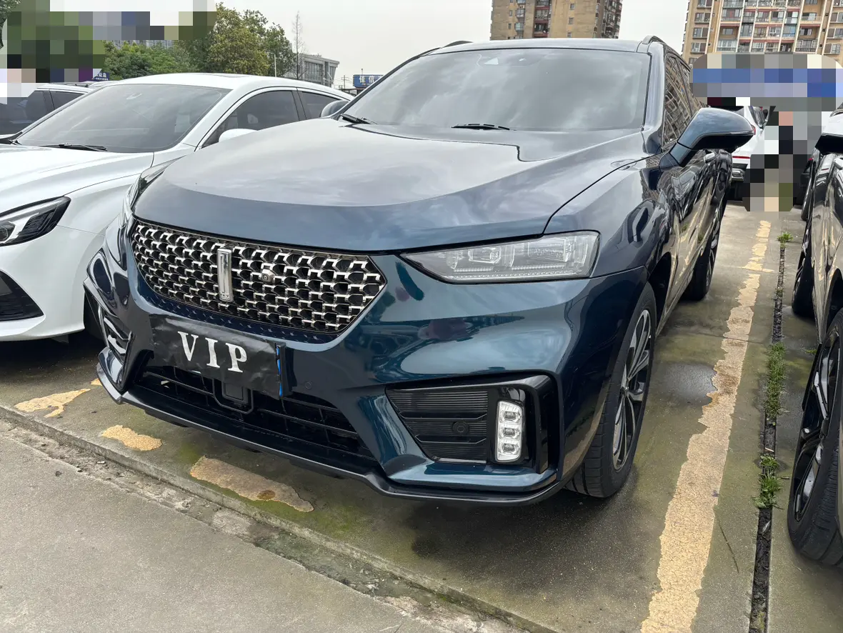 Wey Wei brand VV7