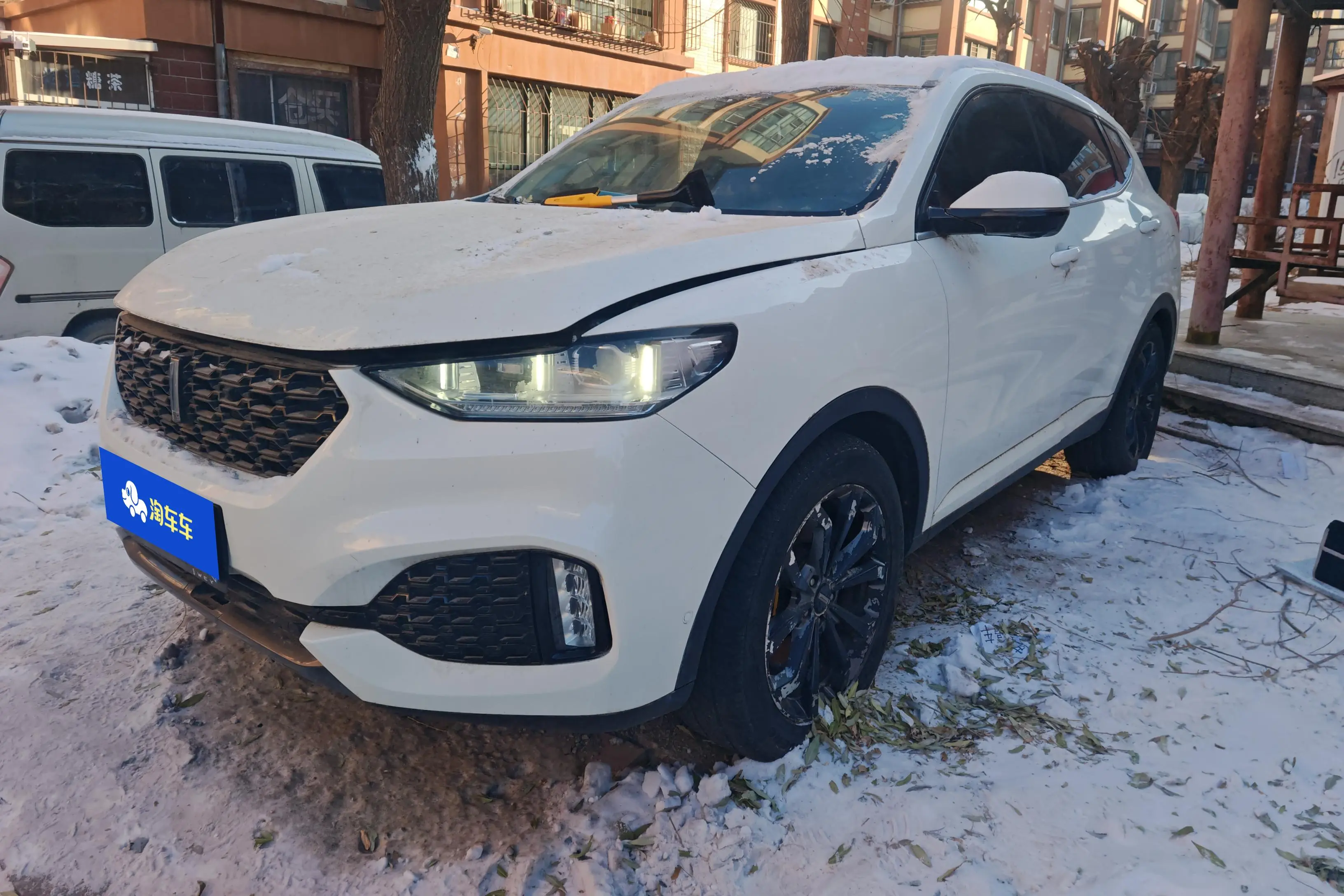 Wey Wei brand VV6
