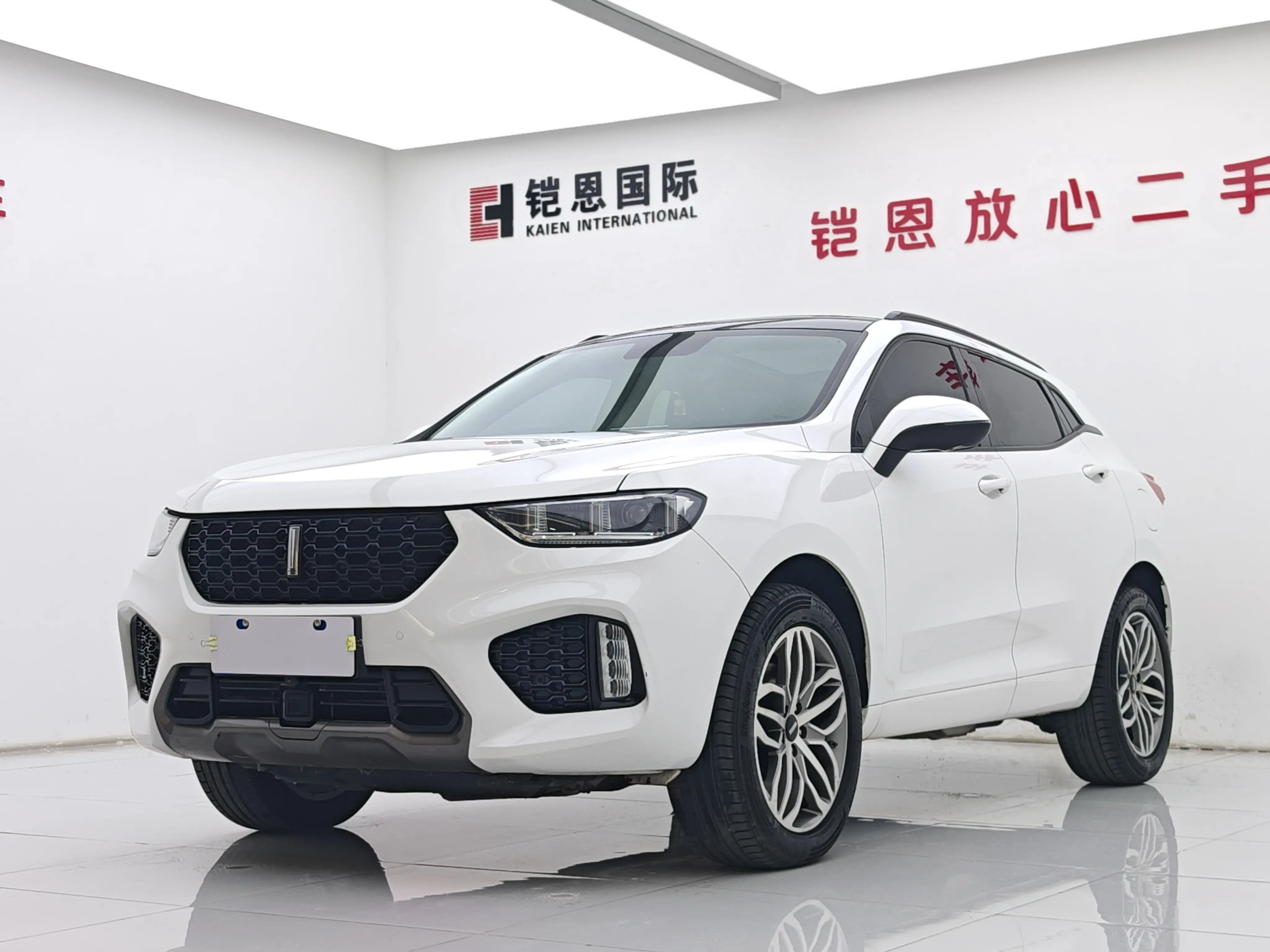 Wey Wei brand VV5
