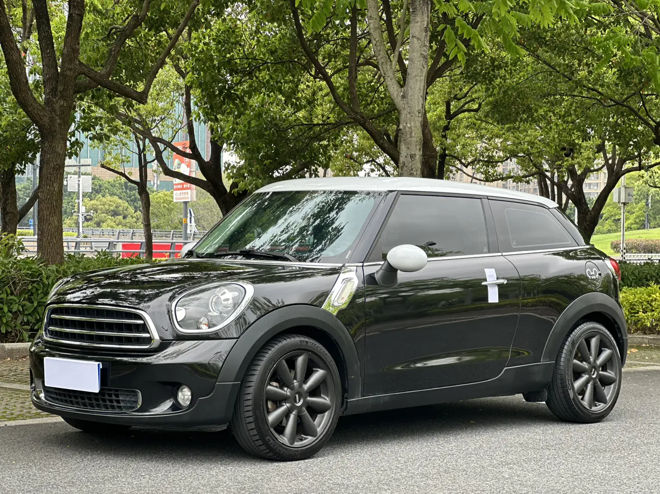 MINI PACEMAN