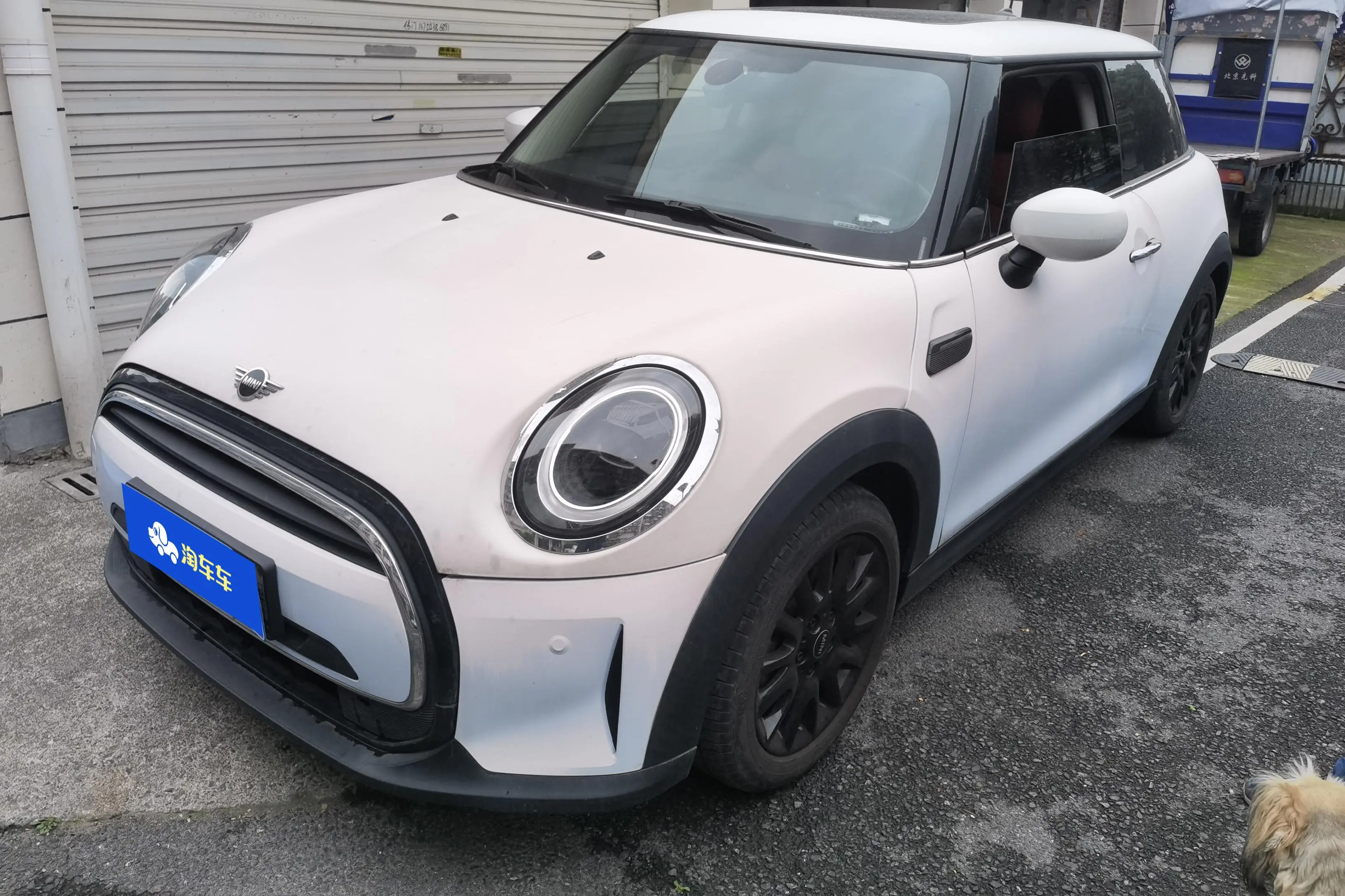 MINI MINI