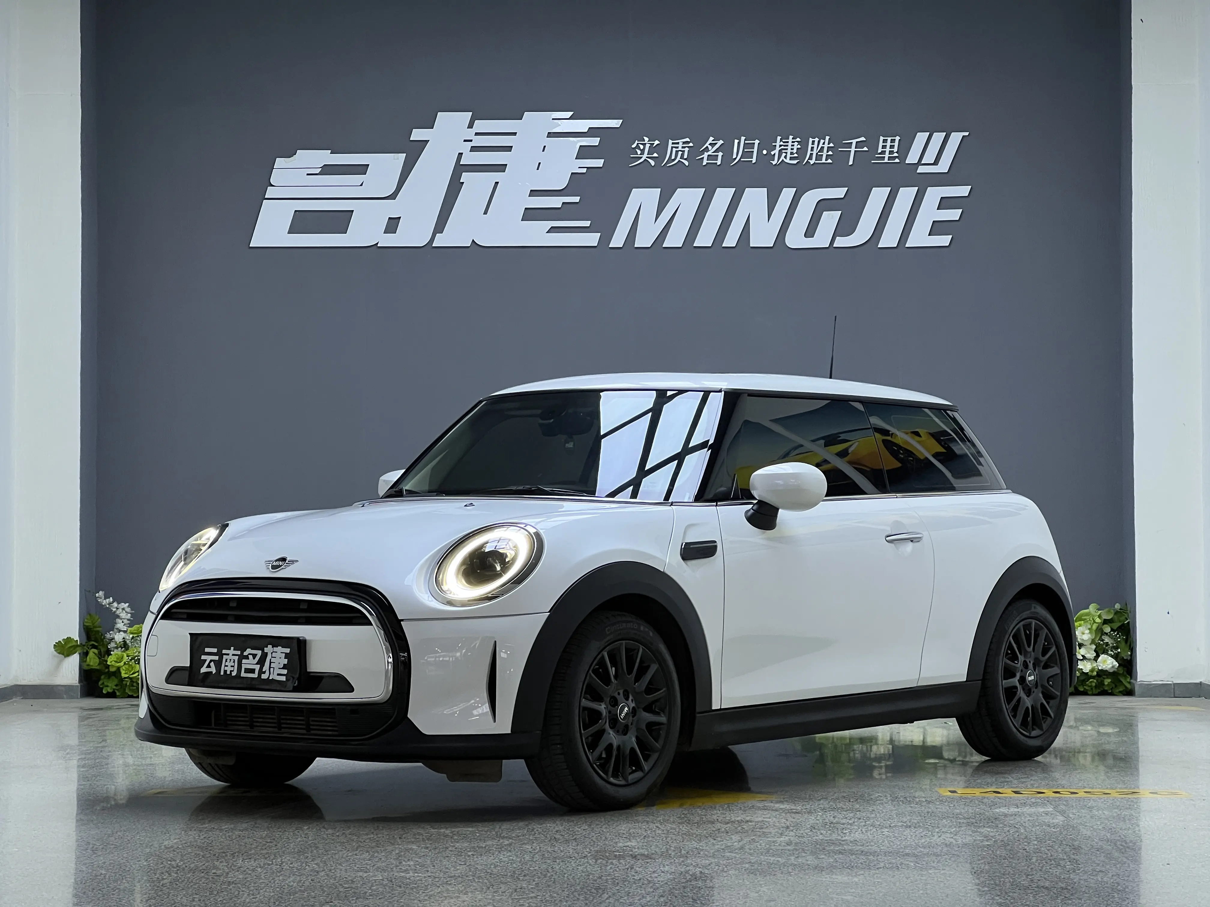 MINI MINI