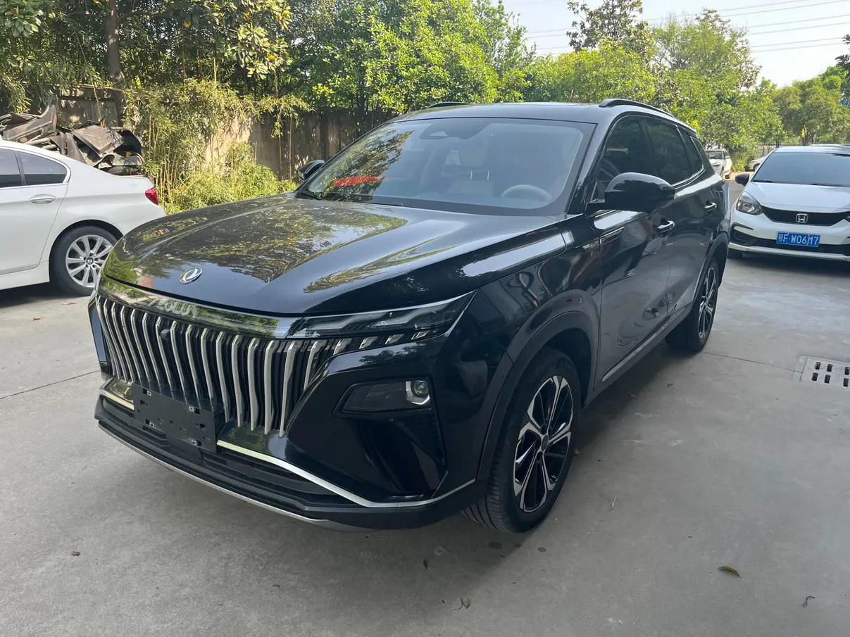 Dongfeng Haoji