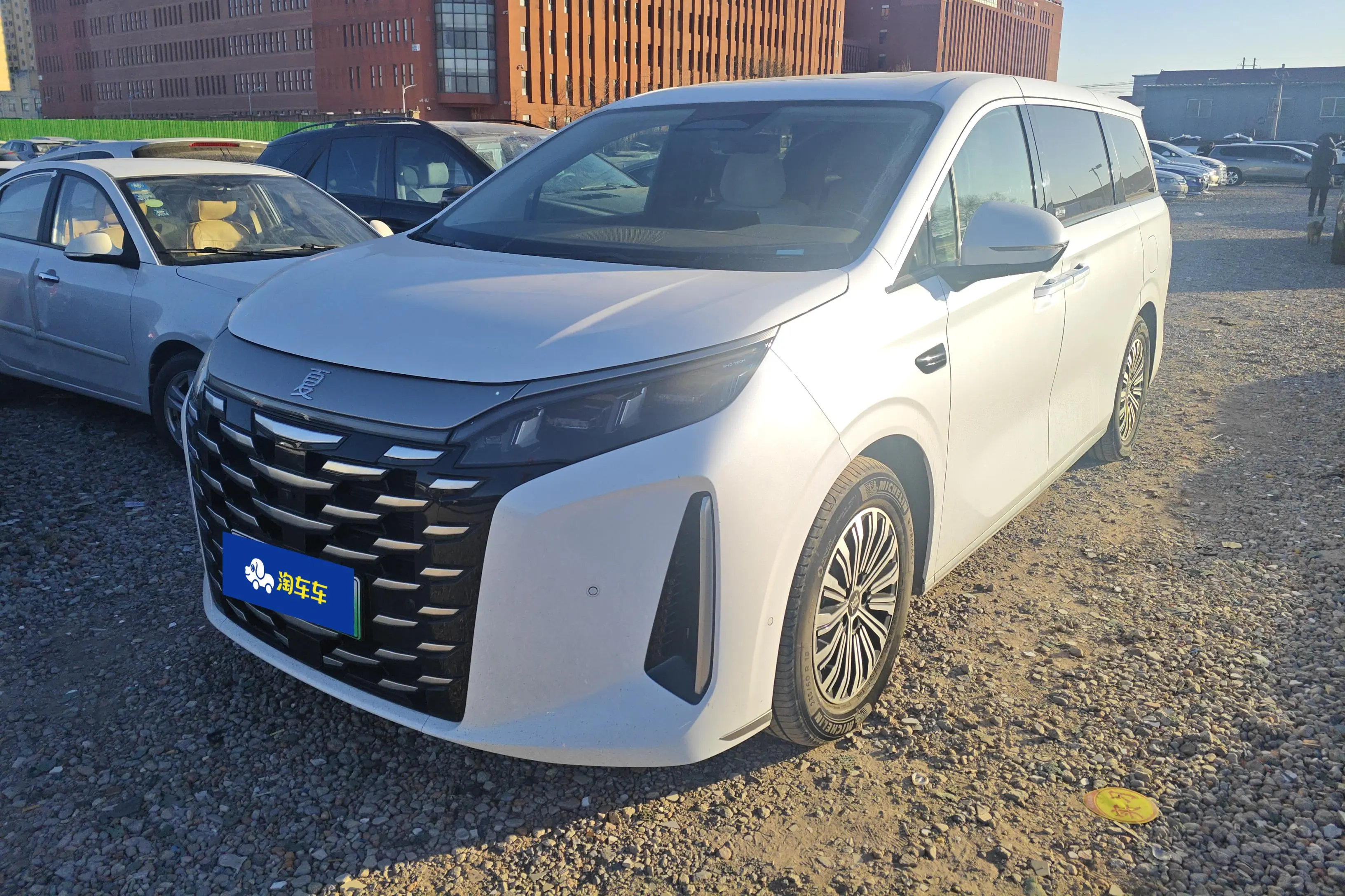 BYD Summer