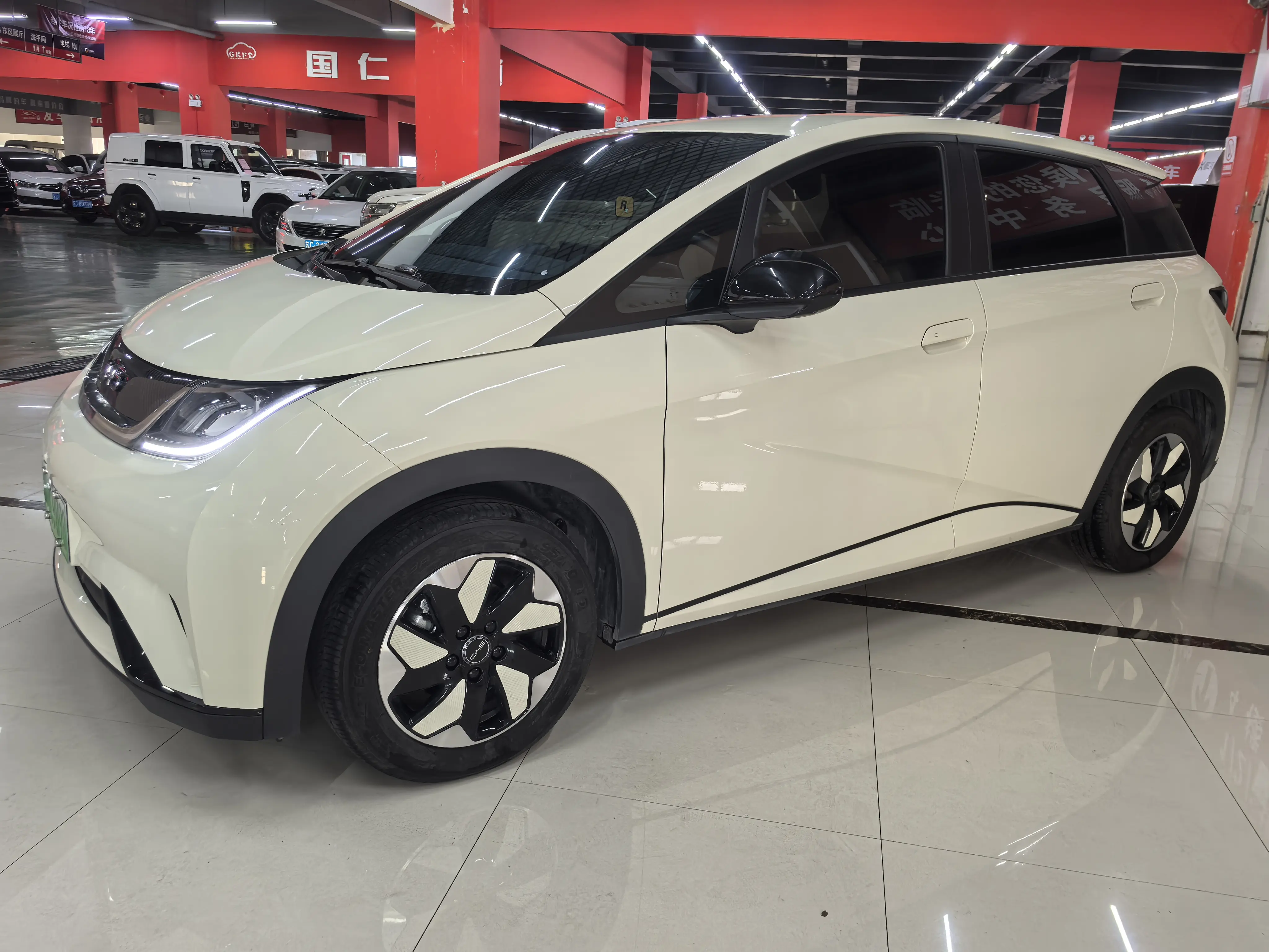 BYD Dolphin