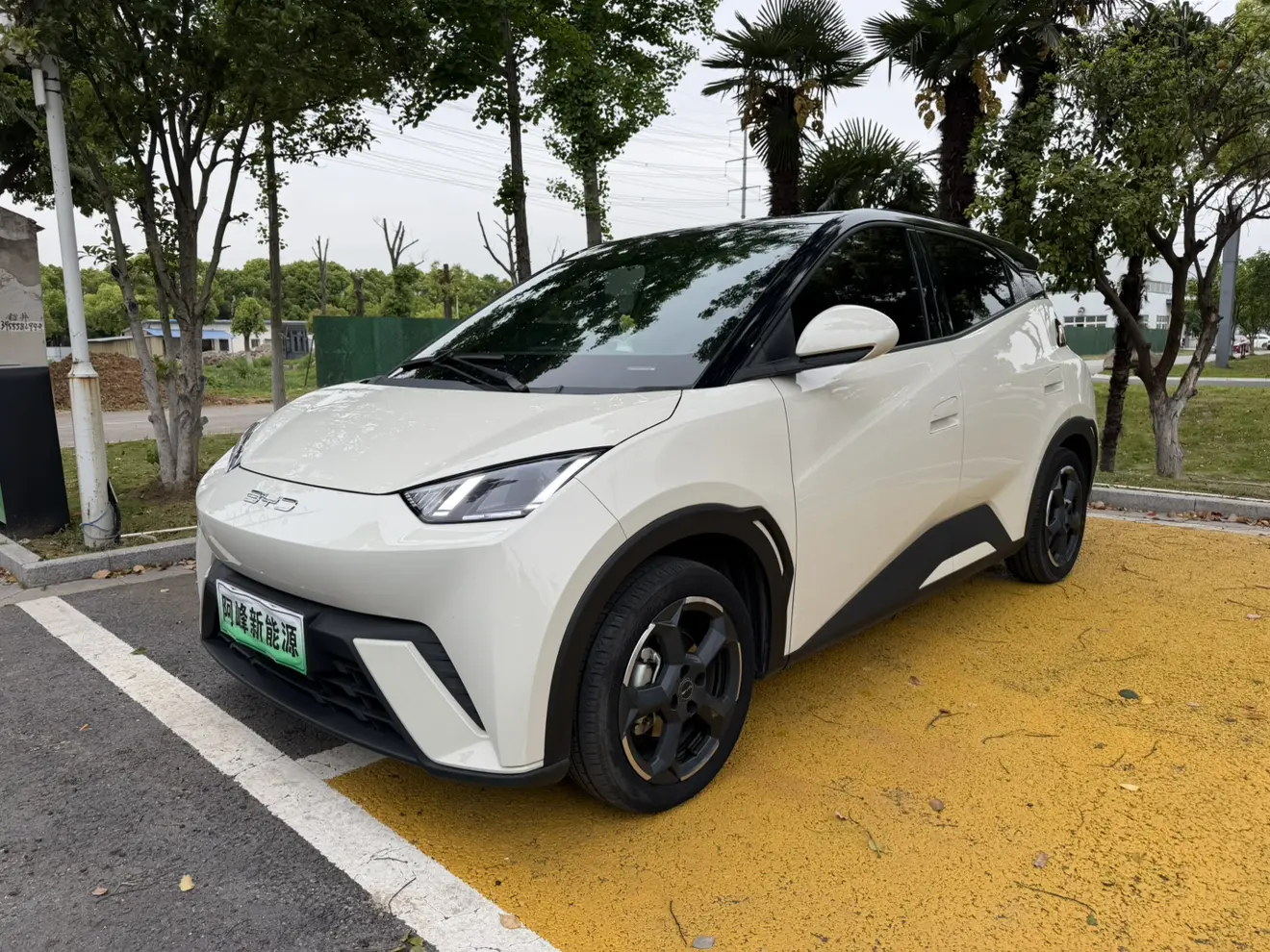 BYD Seagull