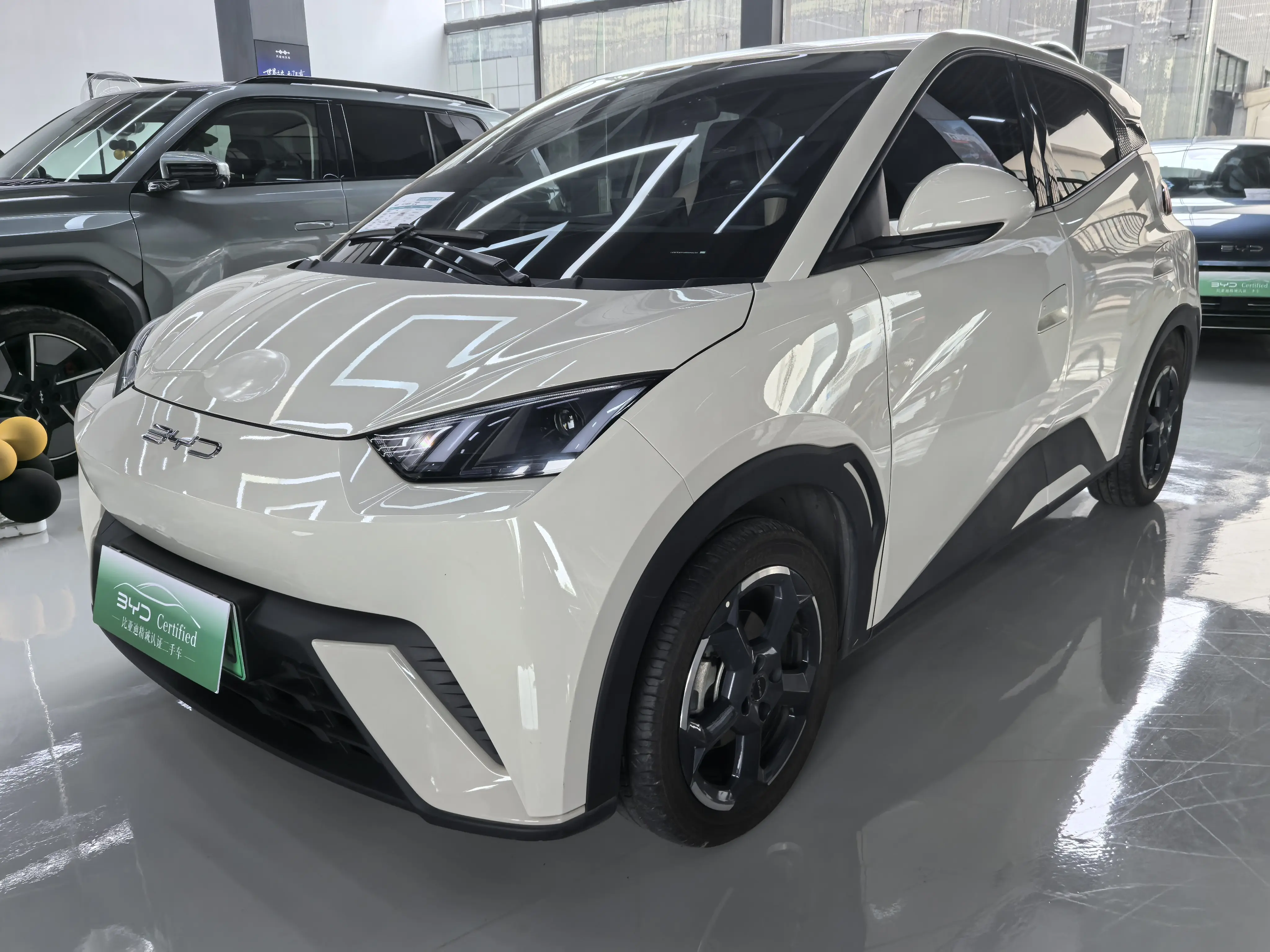 BYD Seagull