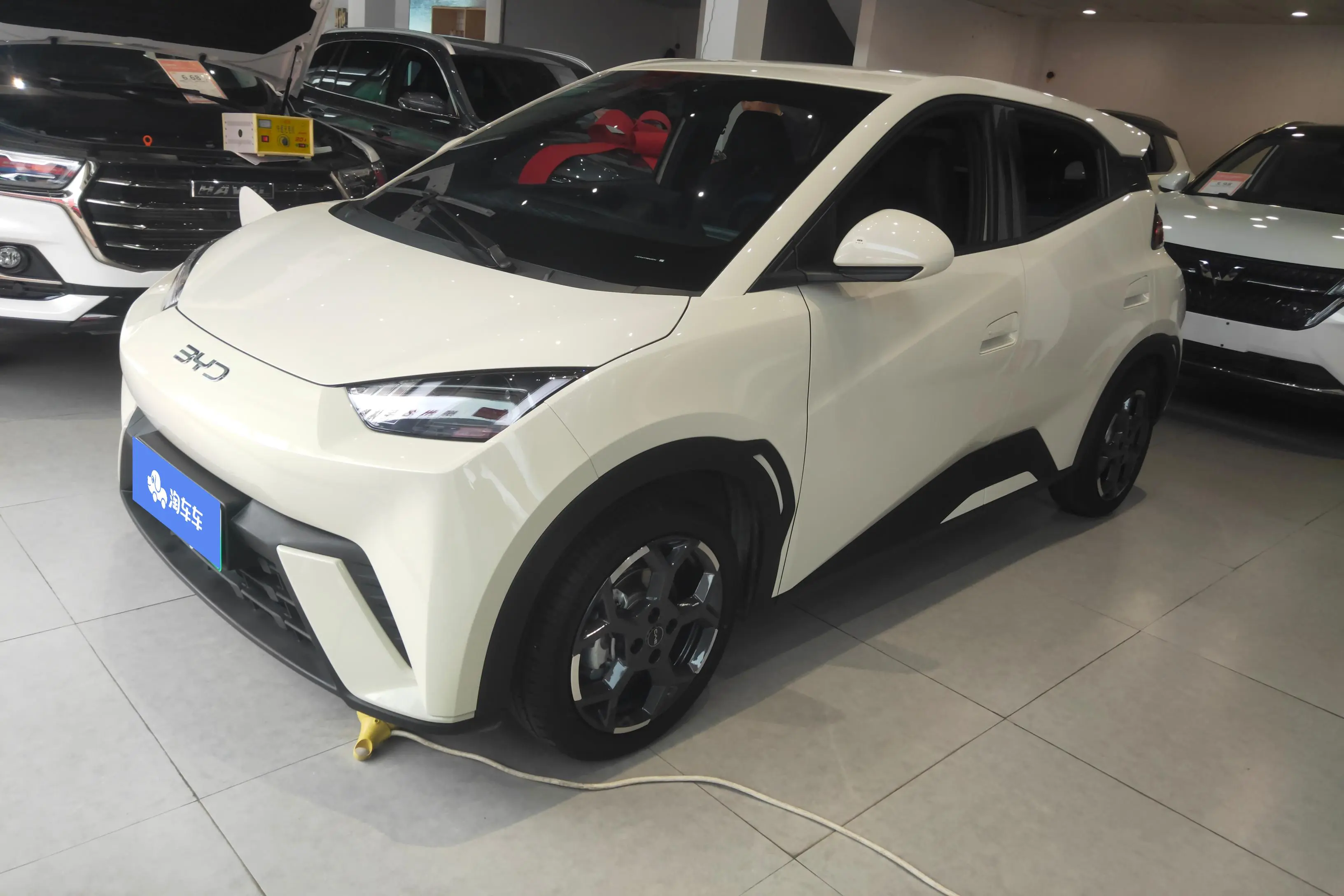 BYD Seagull