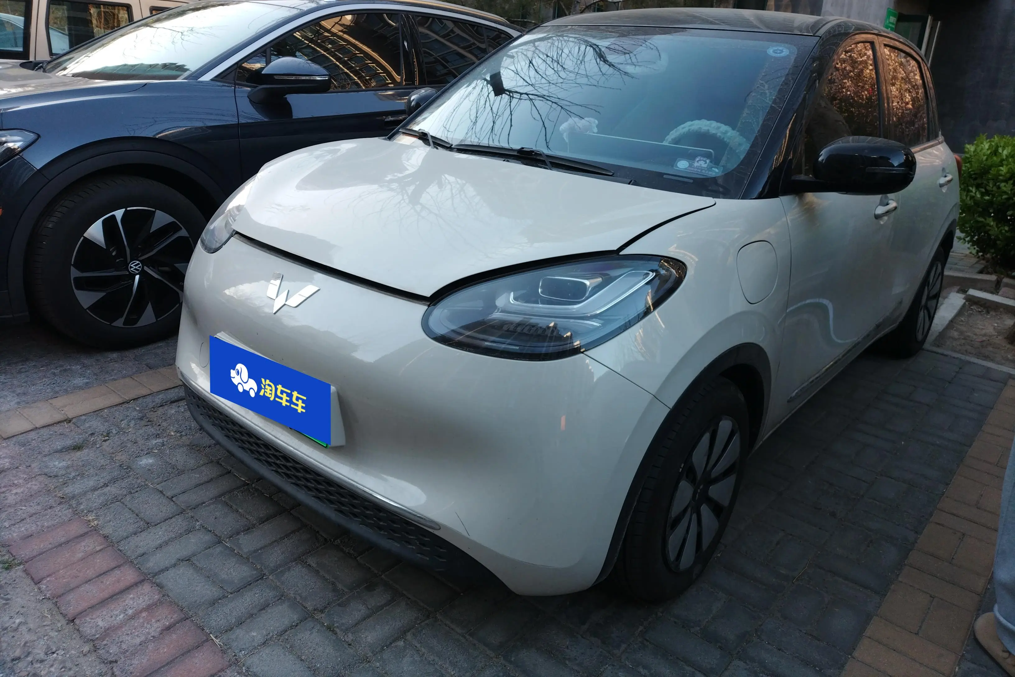 Wuling Bingo