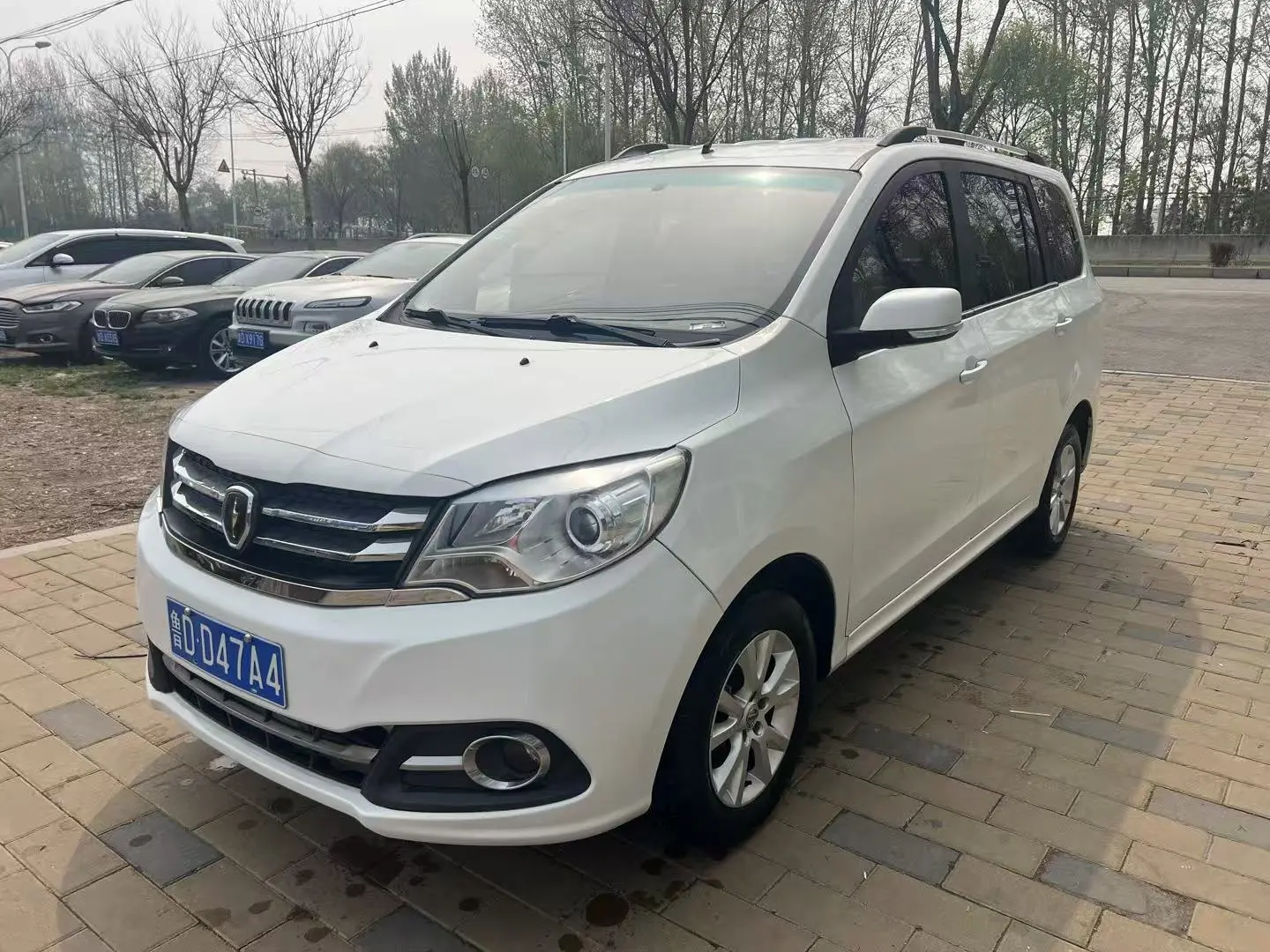 Golden cup Brilliance Jinbei 750