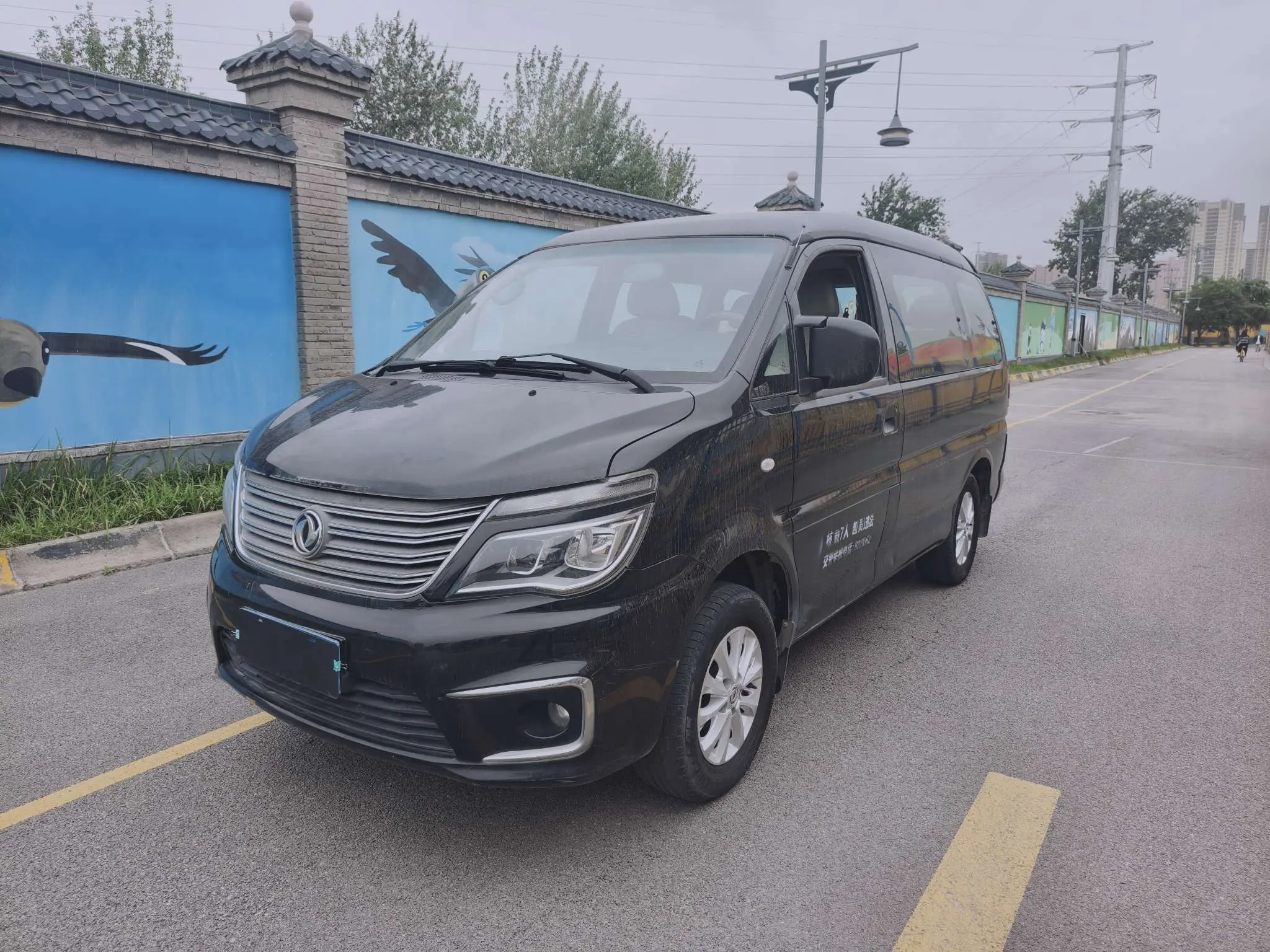 Forthing Lingzhi