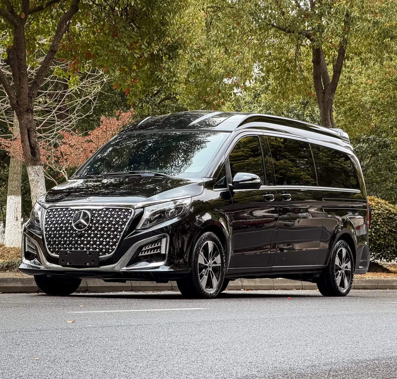 Mercedes-Benz Mercedes Benz V Class