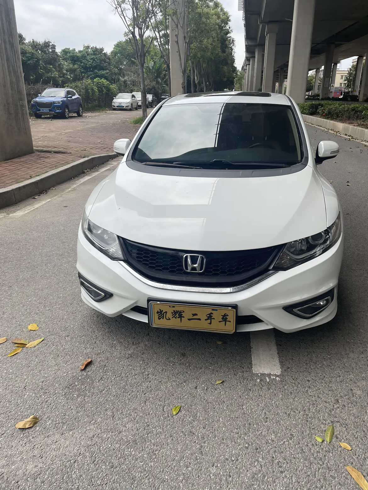 Honda Jed