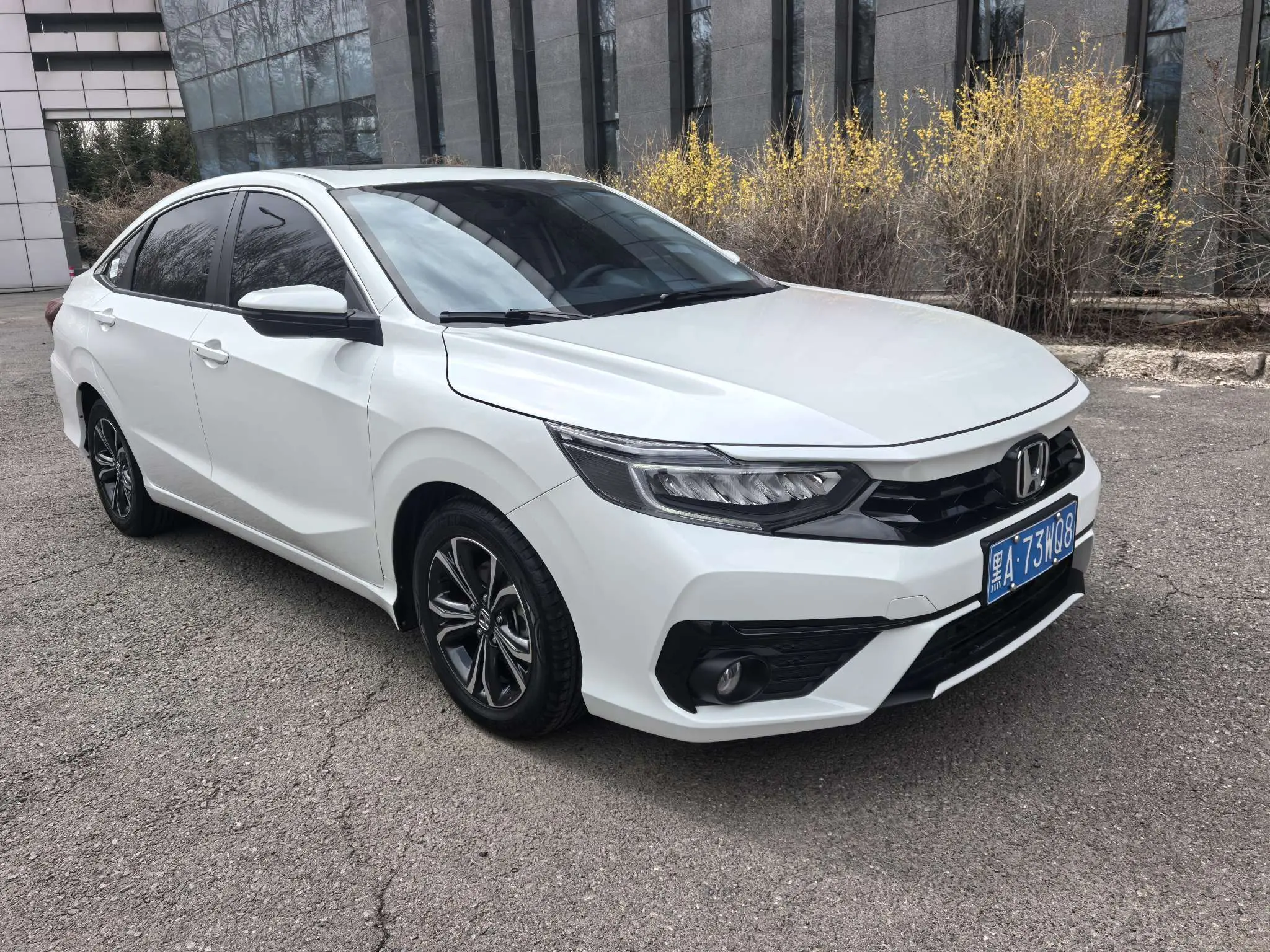 Honda Enjoy domain