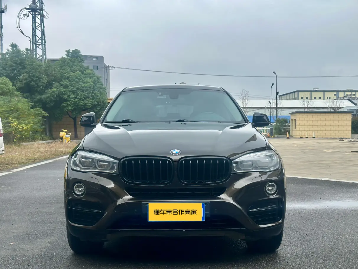 BMW X6