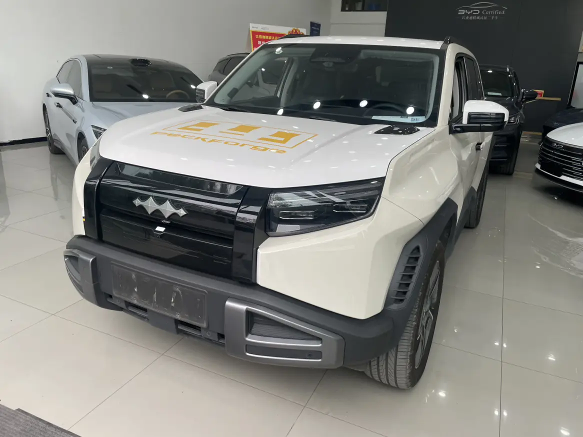 BYD Leopard Titanium 3