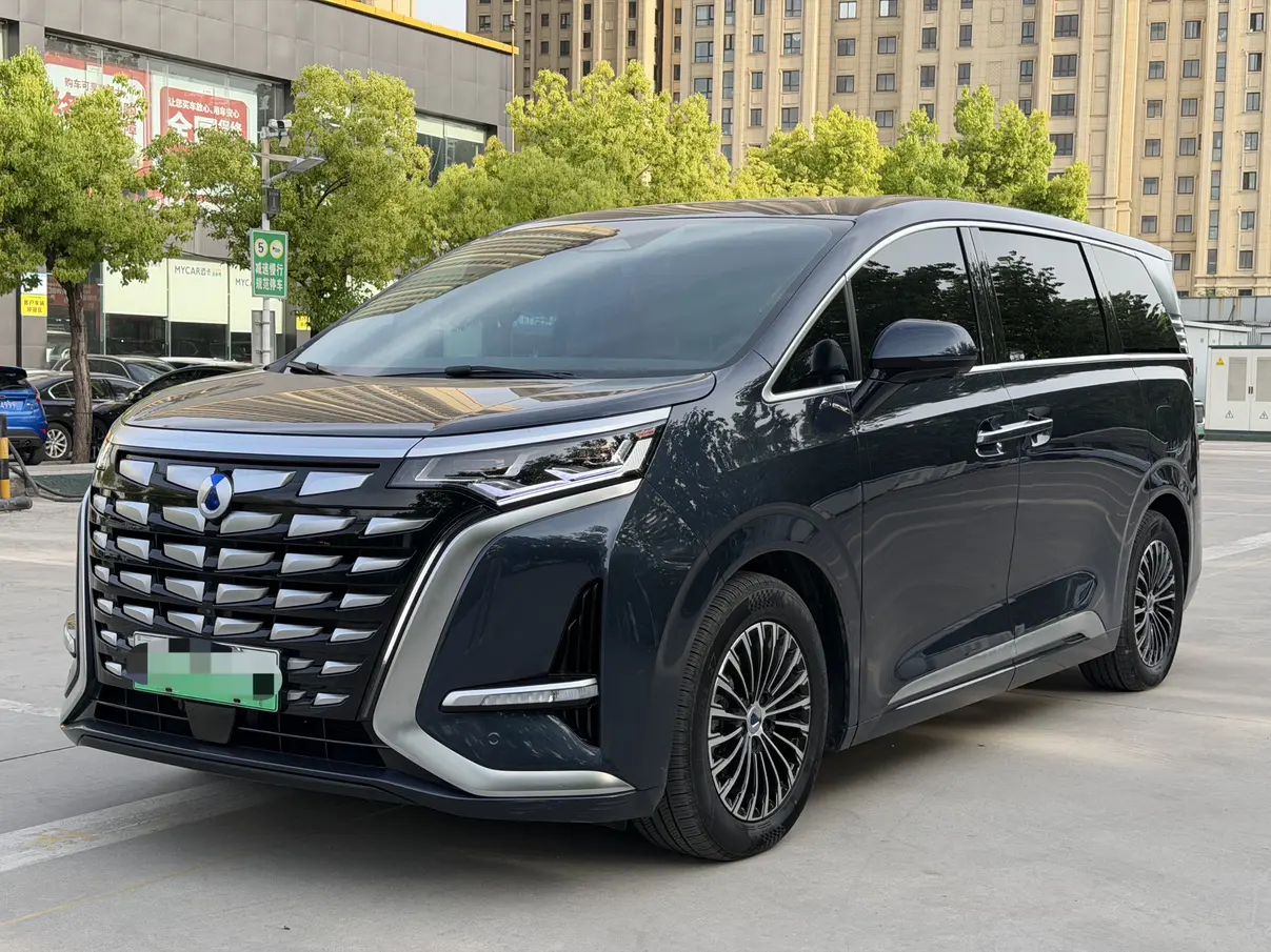 Denza D9 DM