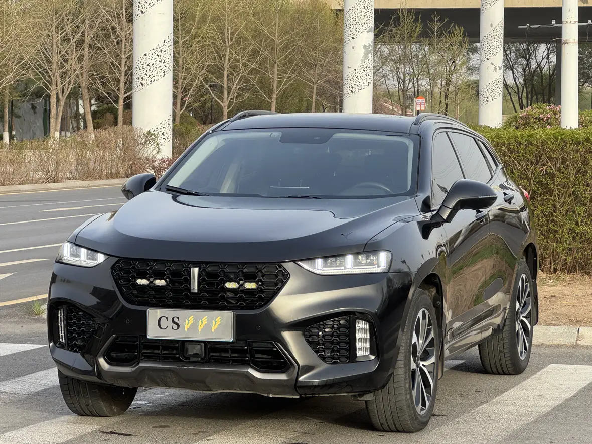 Wey Wei brand VV7
