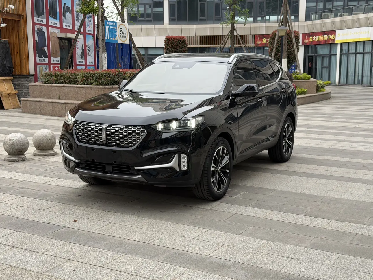 Wey Wei brand VV6