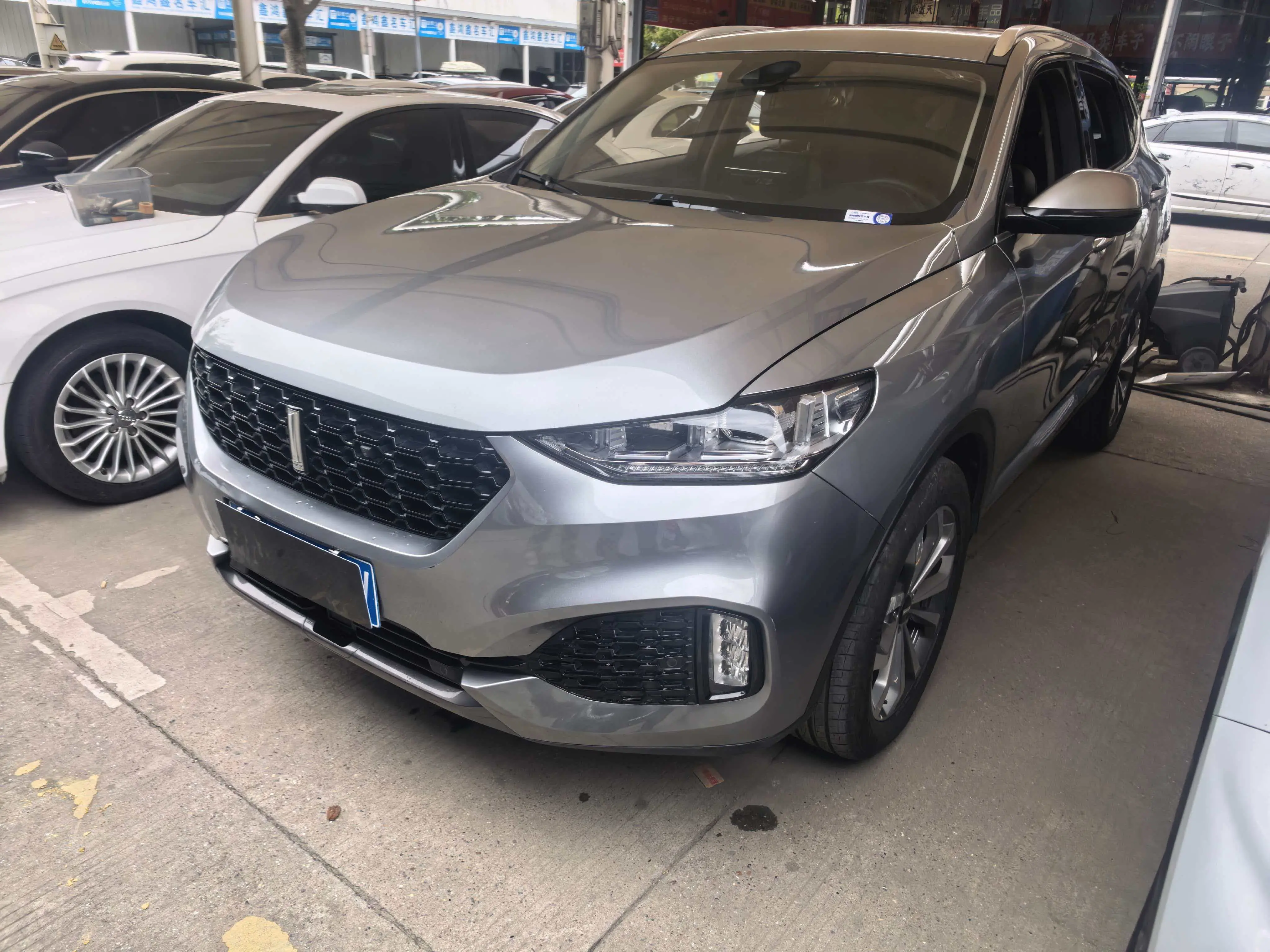 Wey Wei brand VV6