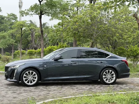 catalog-car-4