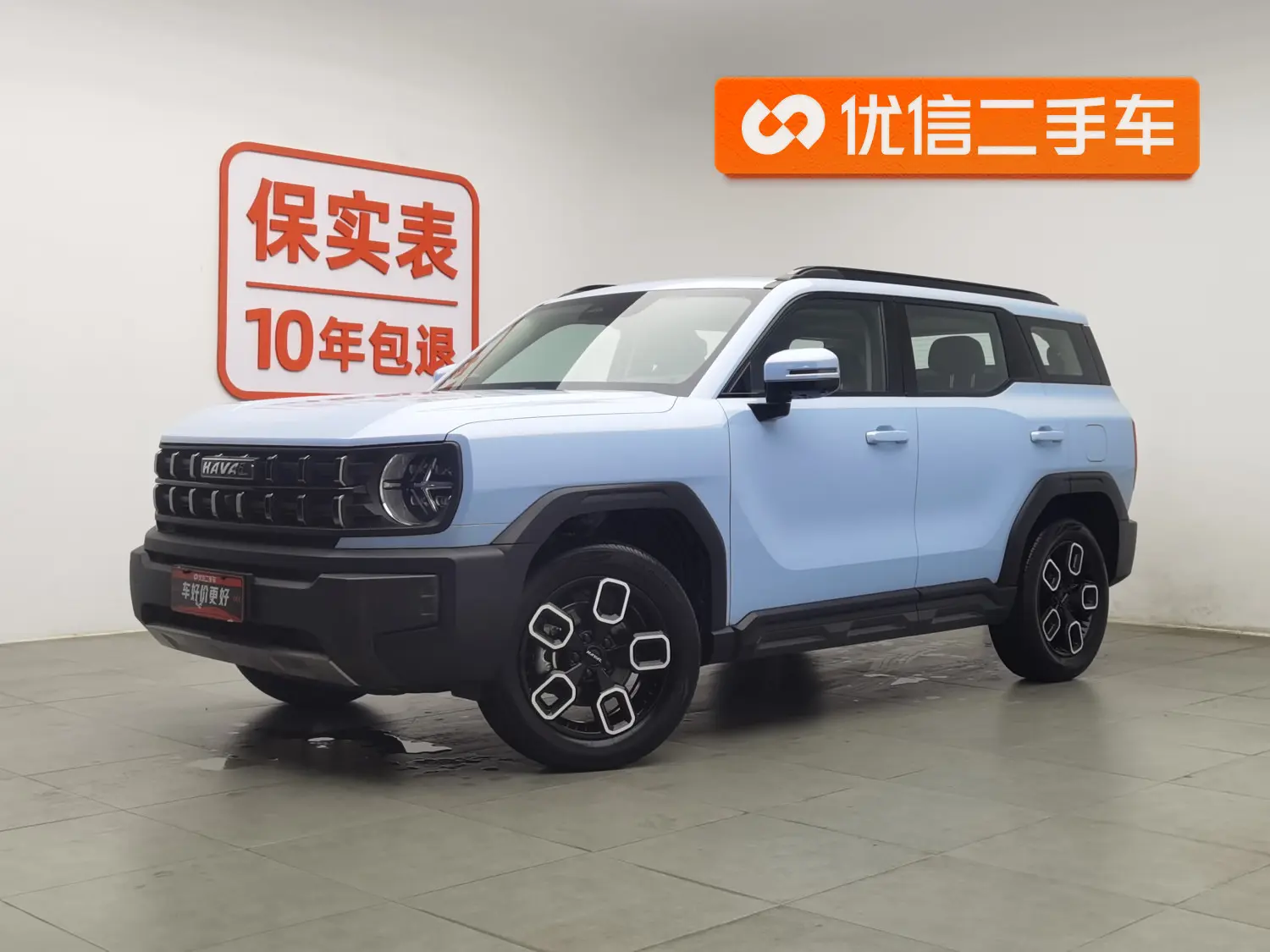 Haval cool dog