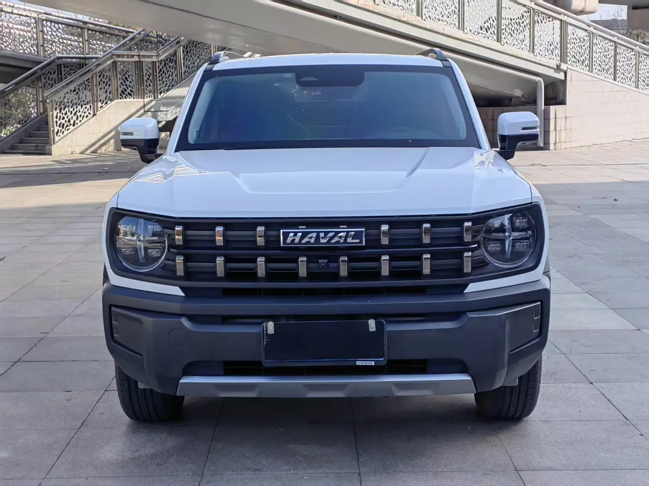 Haval cool dog