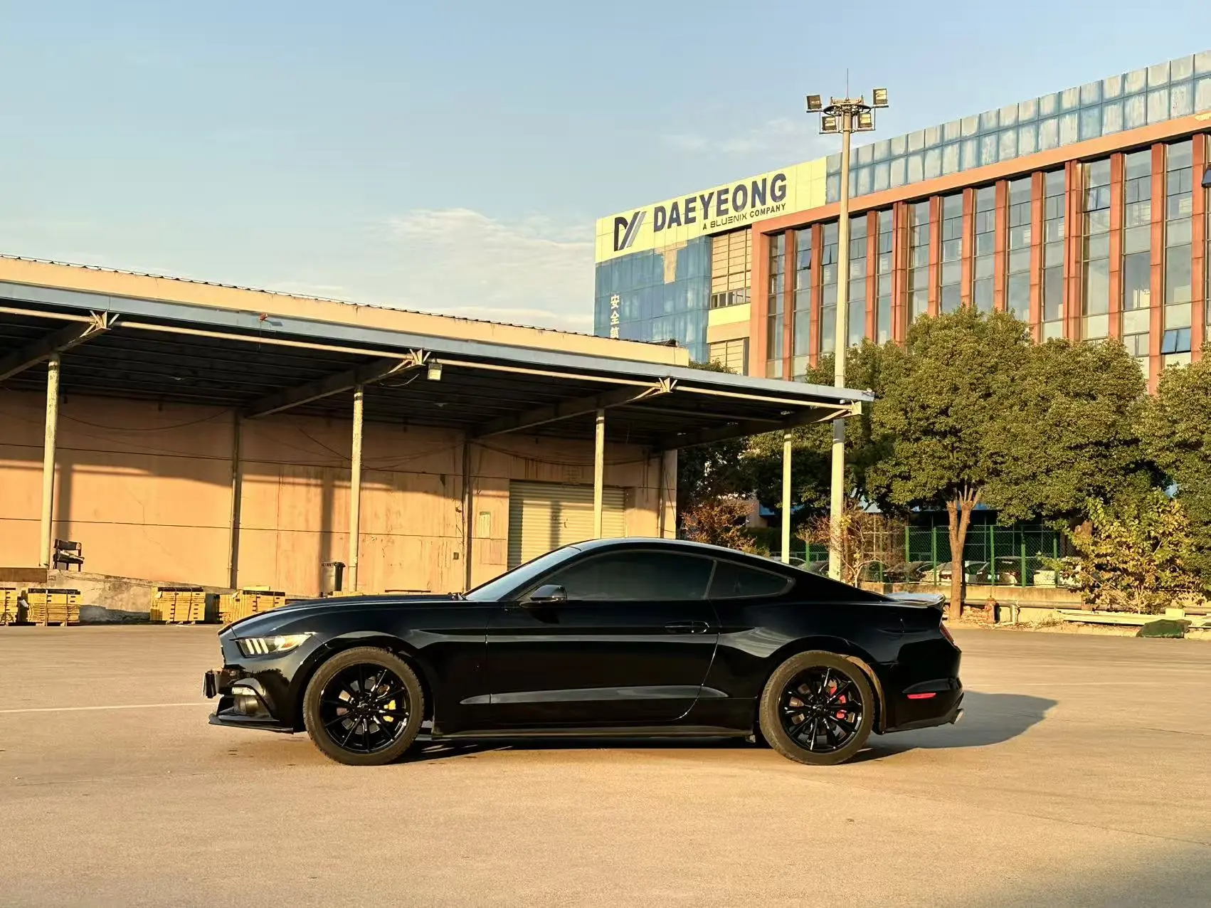 Ford Mustang