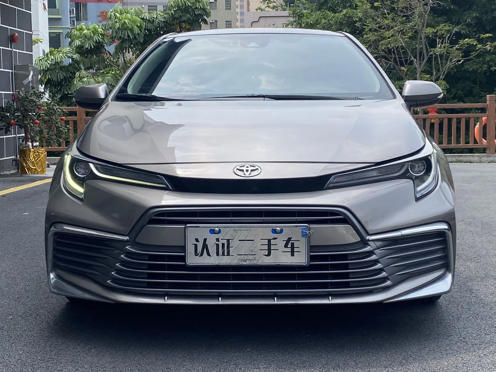 Toyota Levin
