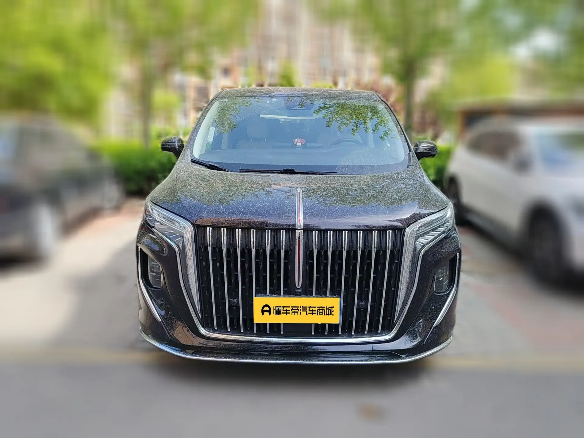 Hongqi HQ9