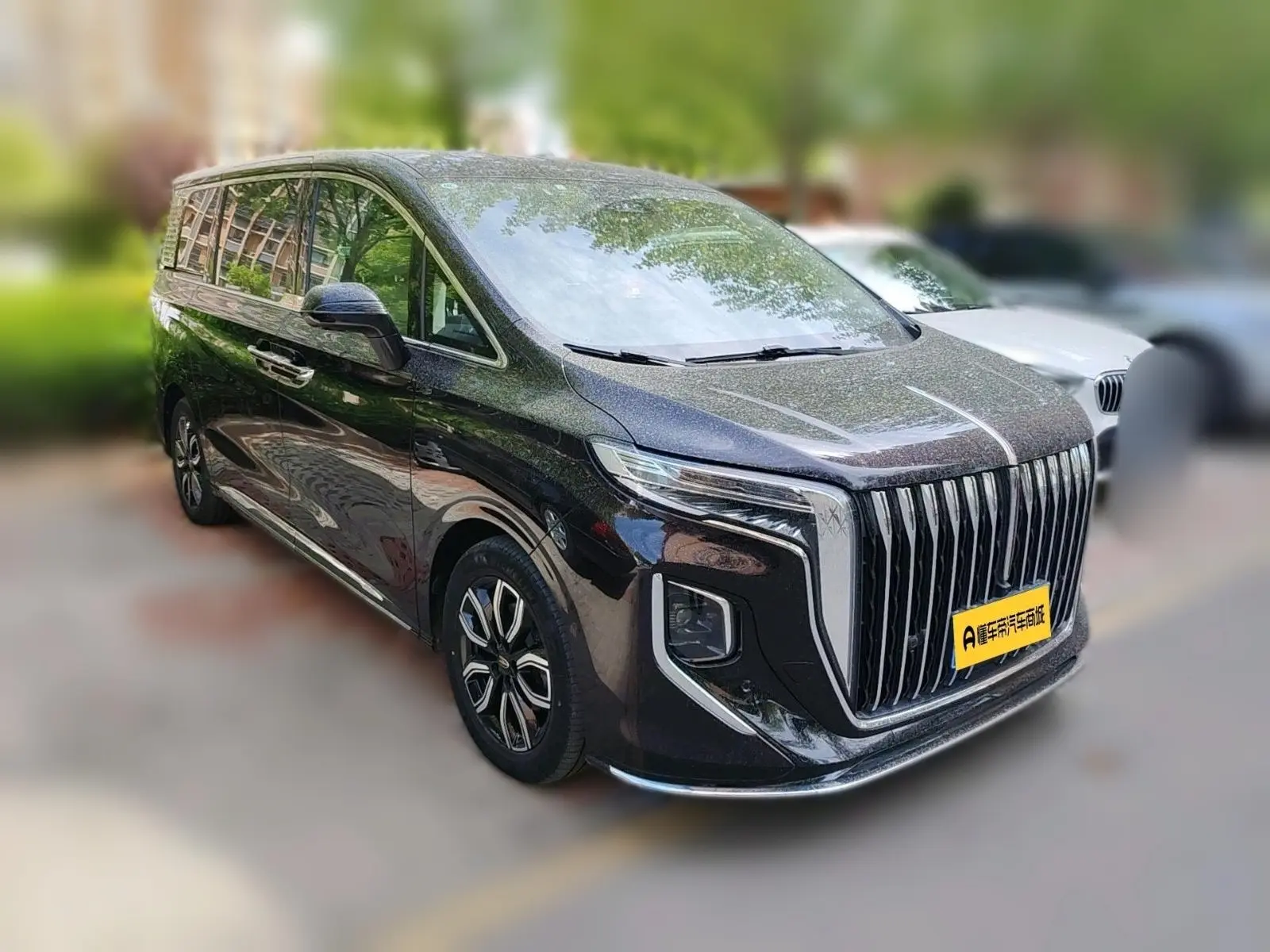 Hongqi HQ9