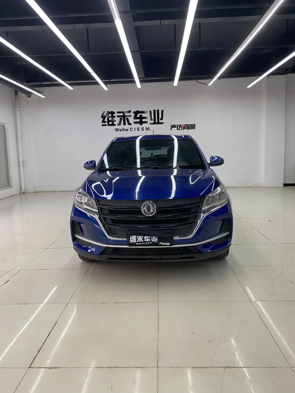 Dongfeng Fengon 500