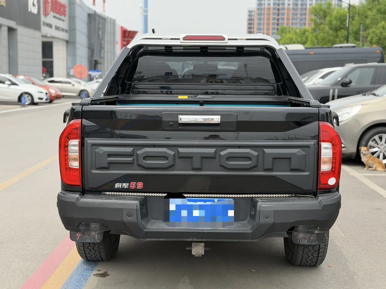 Foton Tunland G9