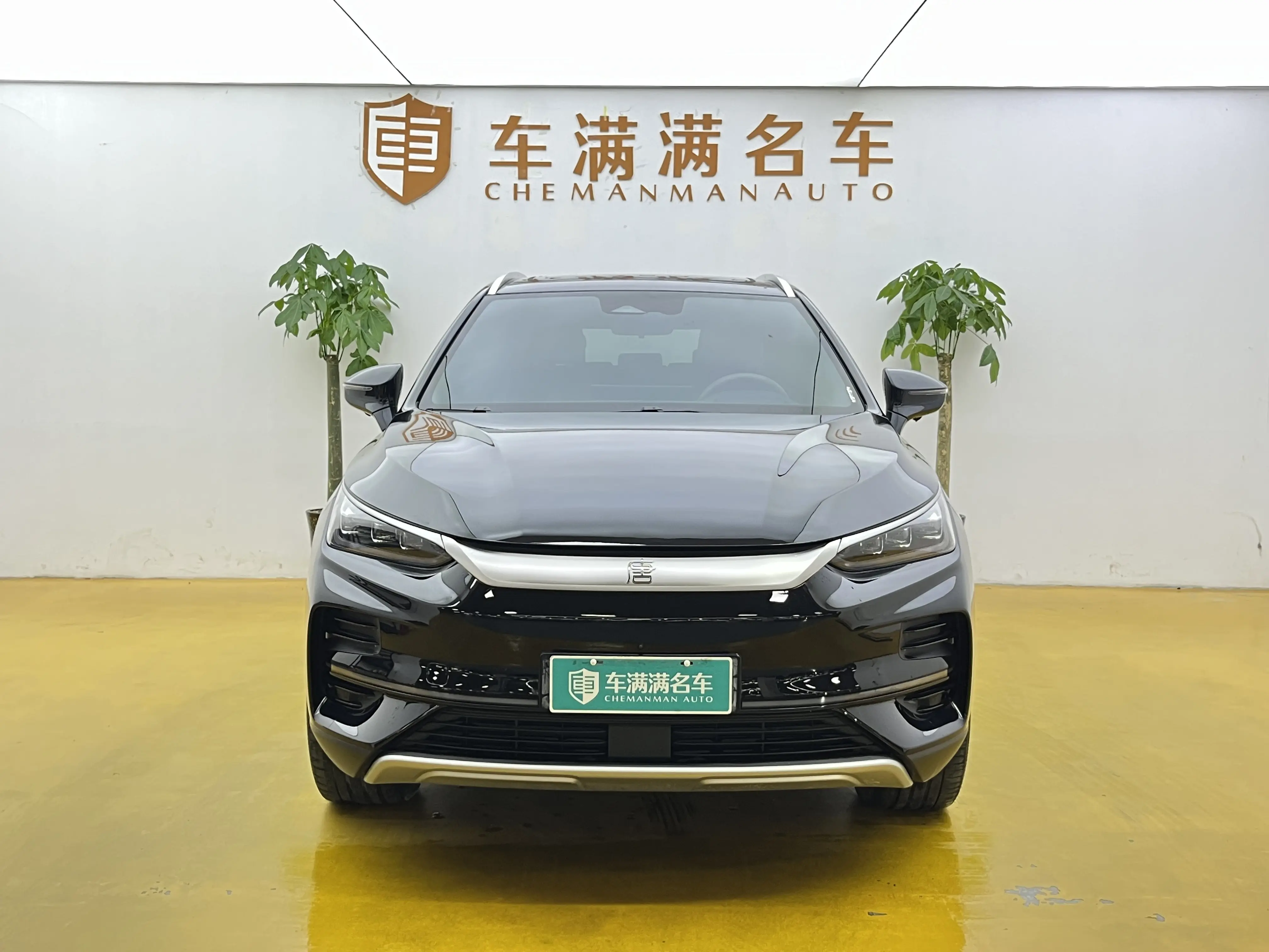 BYD Tang EV